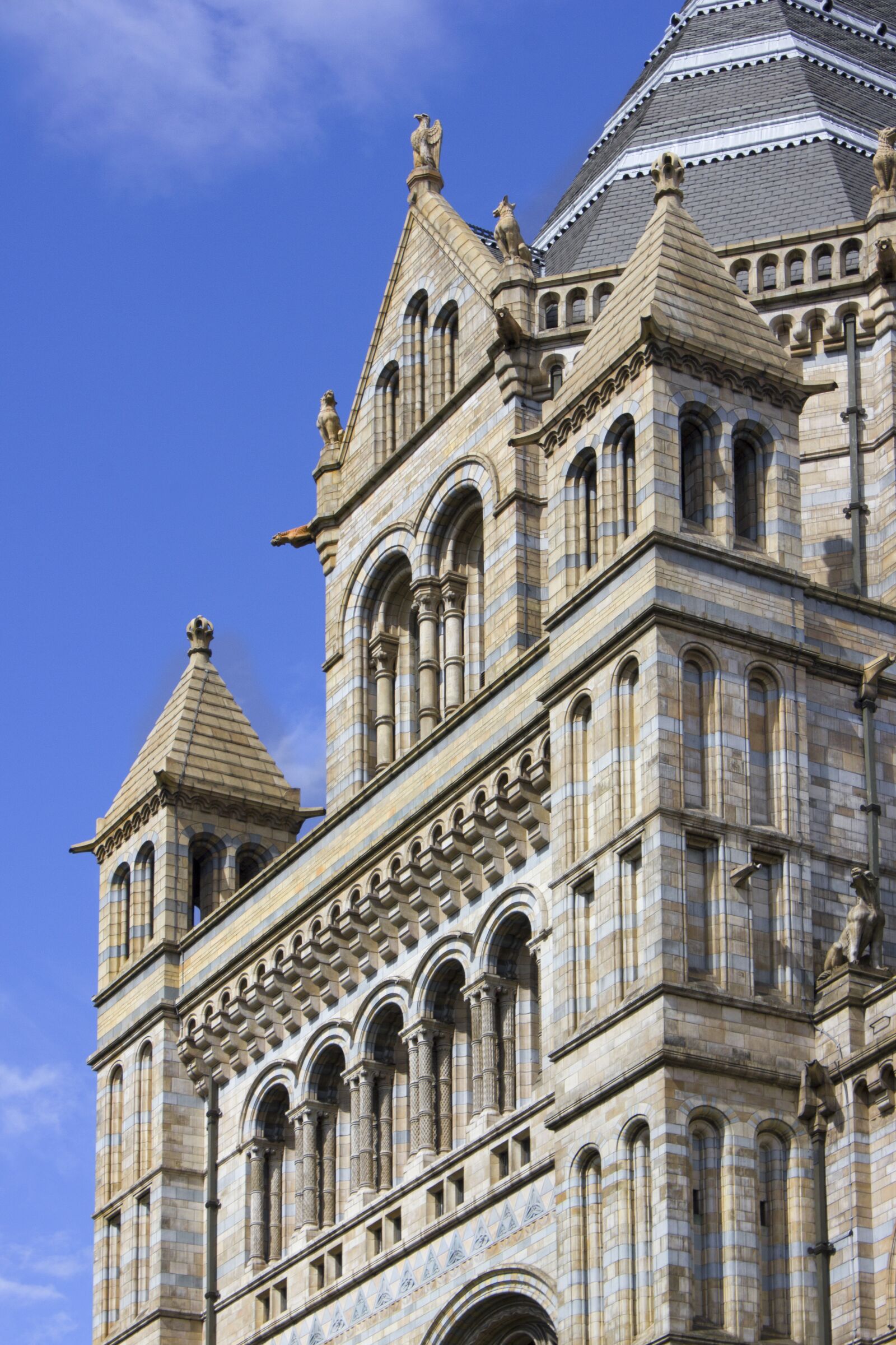 Canon EOS 550D (EOS Rebel T2i / EOS Kiss X4) sample photo. London, museum, architecture photography
