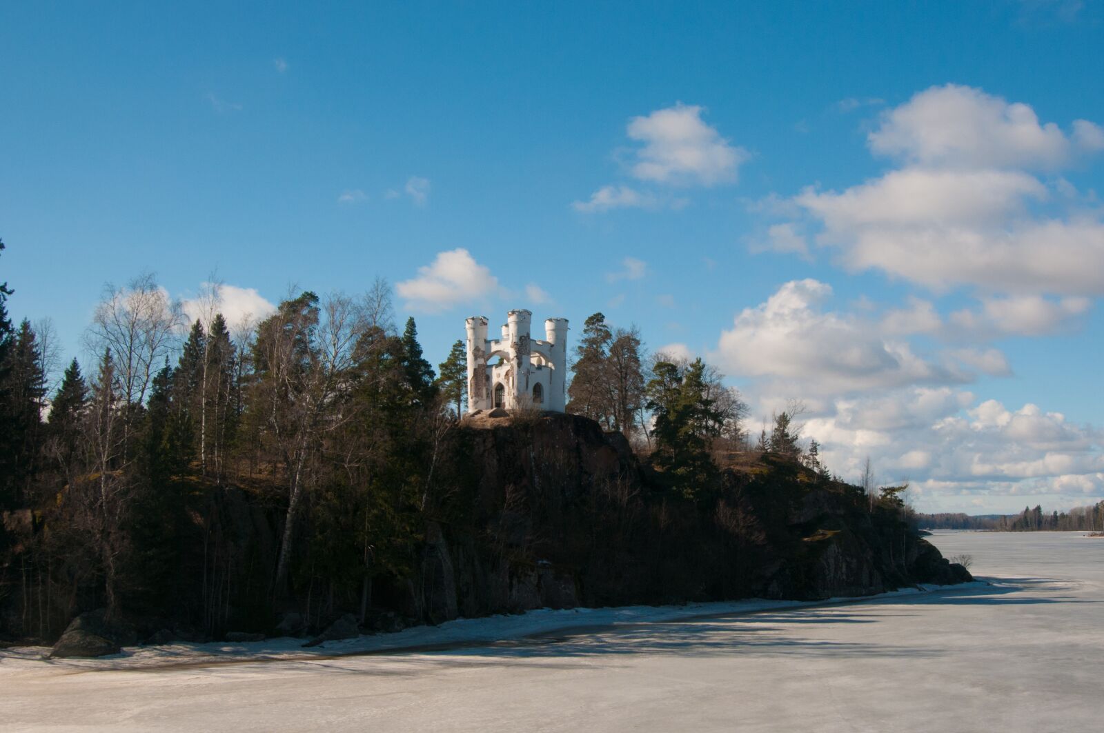 Nikon D300S sample photo. Nature, tree, panoramic photography