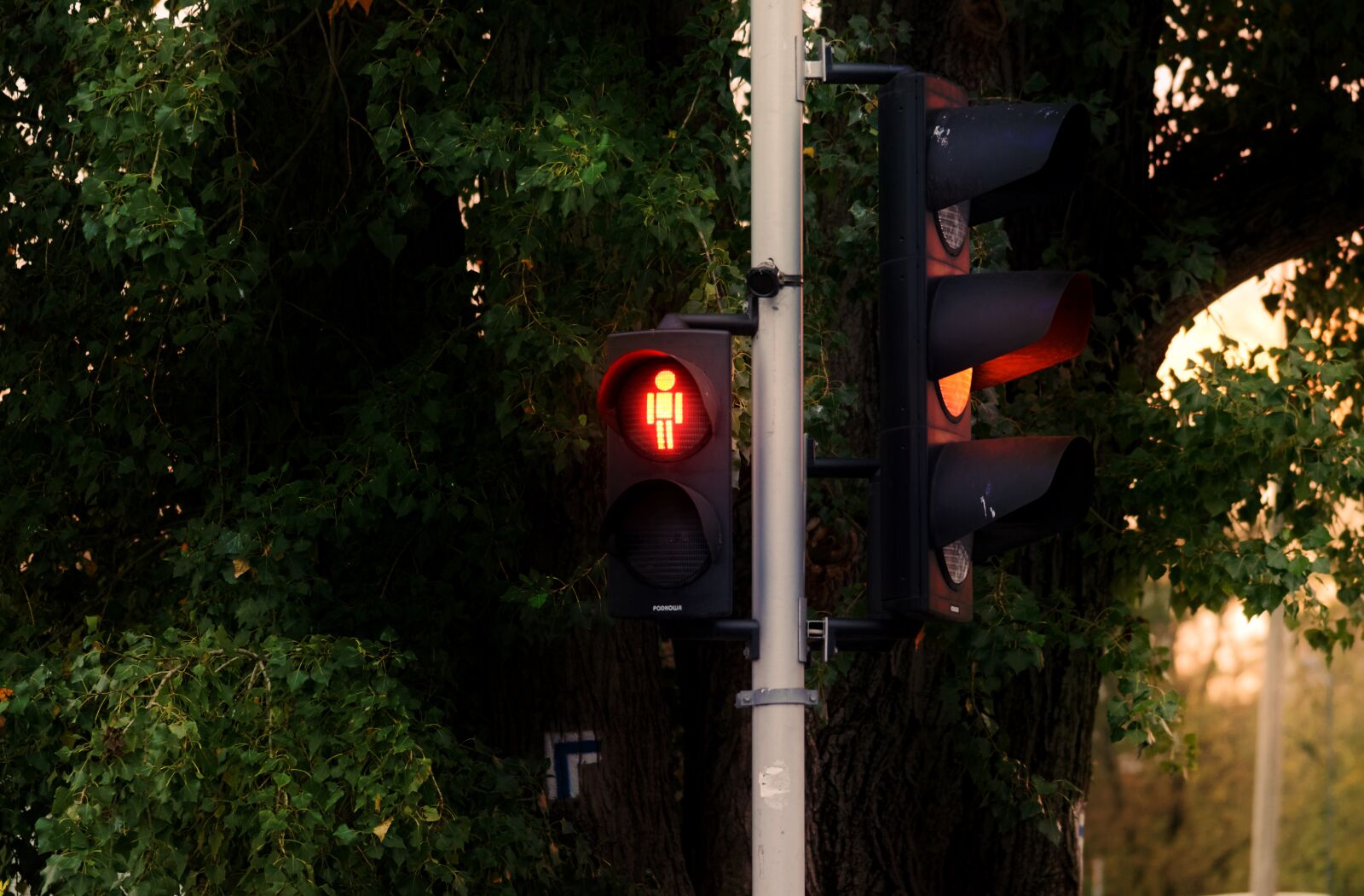 Nikon D5100 sample photo. Traffic light, lights, traffic photography