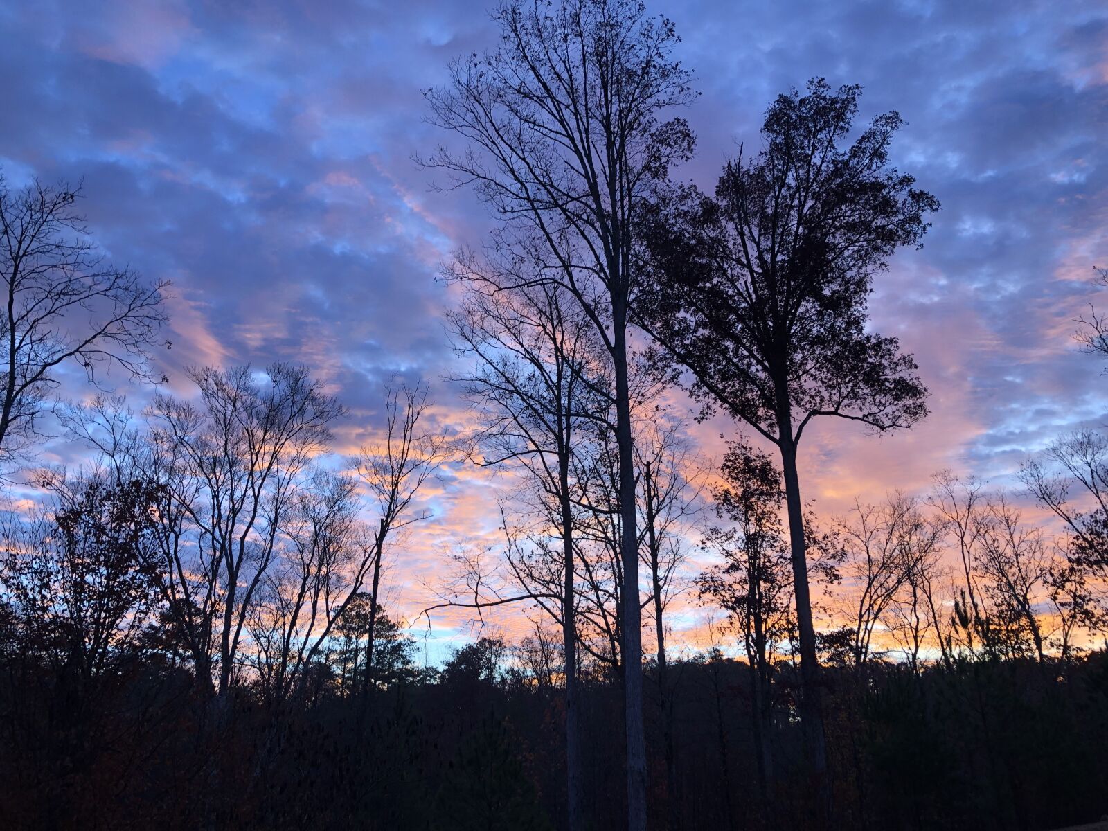 Apple iPhone 8 Plus sample photo. Sunset, trees, twilight photography