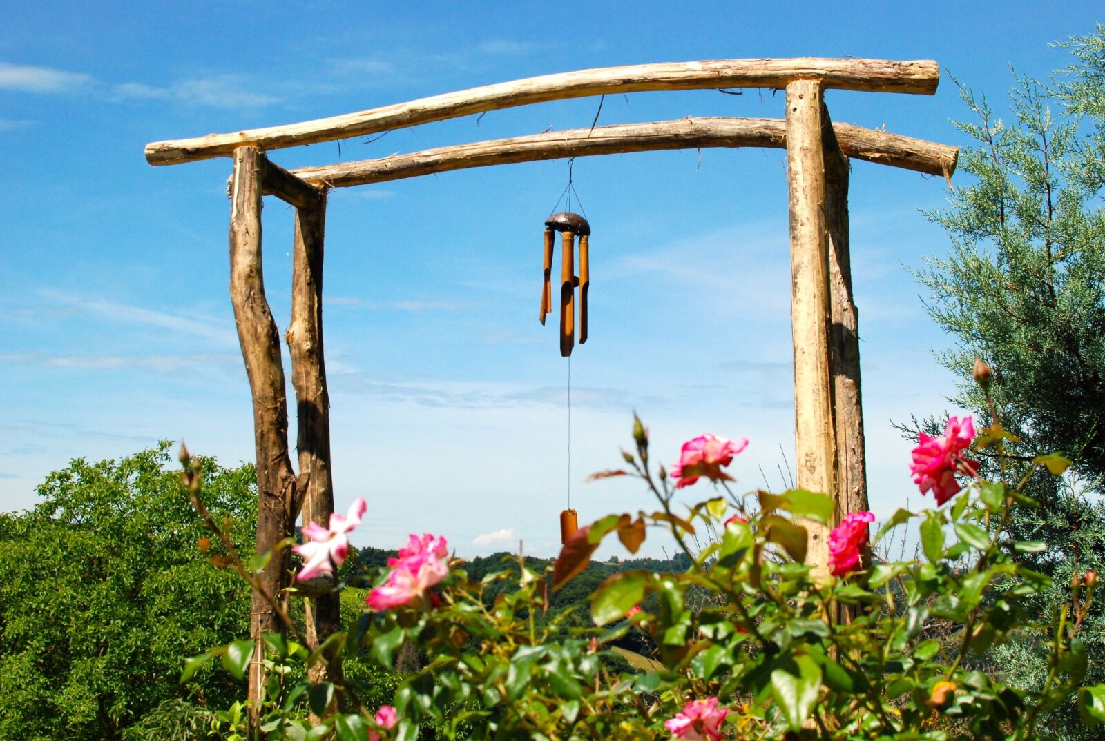 Nikon D80 sample photo. Goal, sound, garden photography