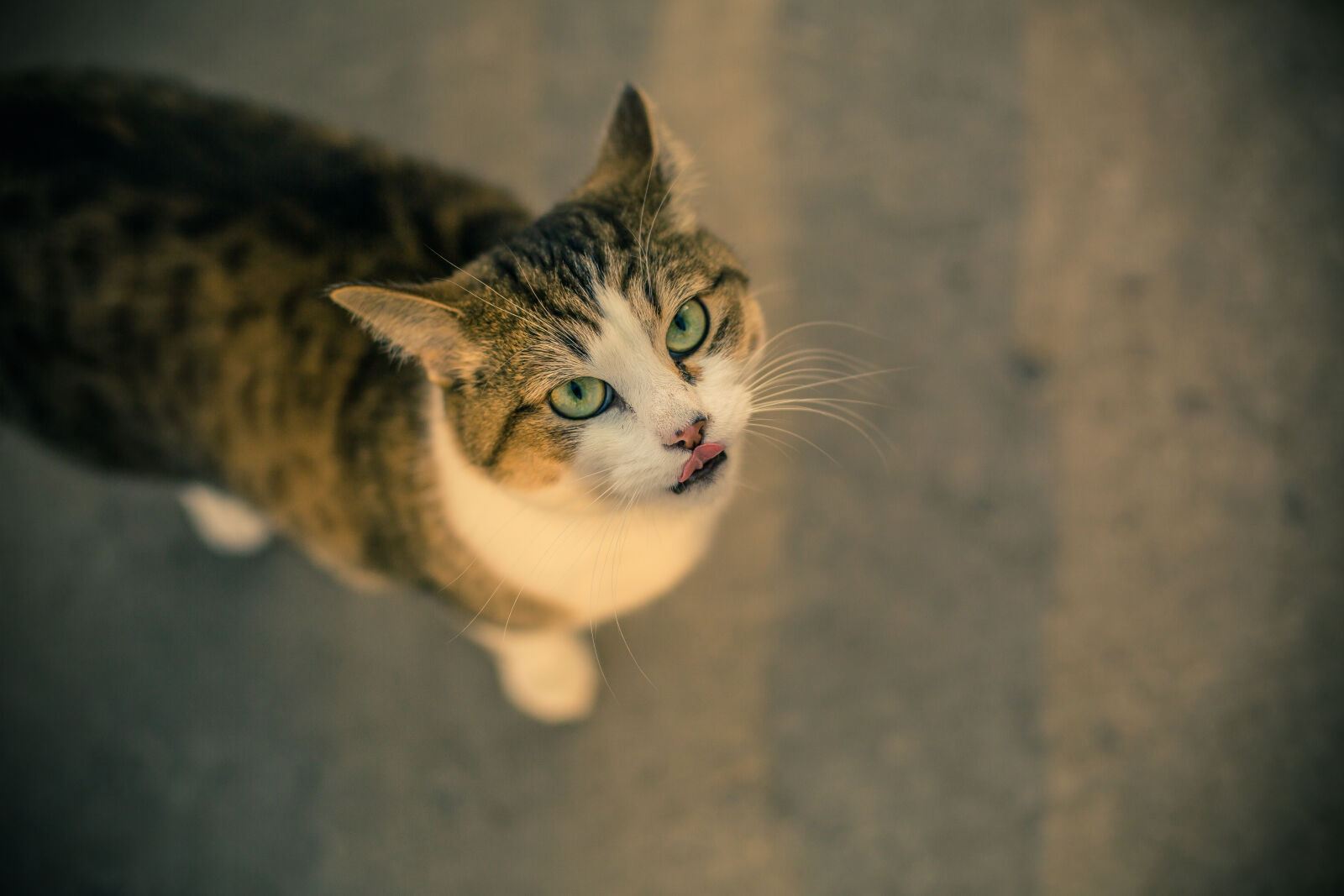 Canon EOS 5D Mark III sample photo