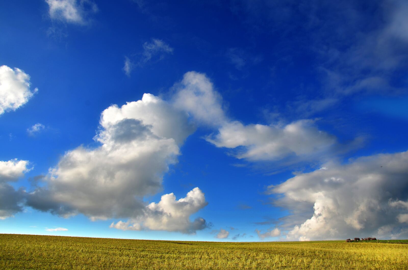 Nikon D5100 sample photo. Countryside, pasture, agriculture photography