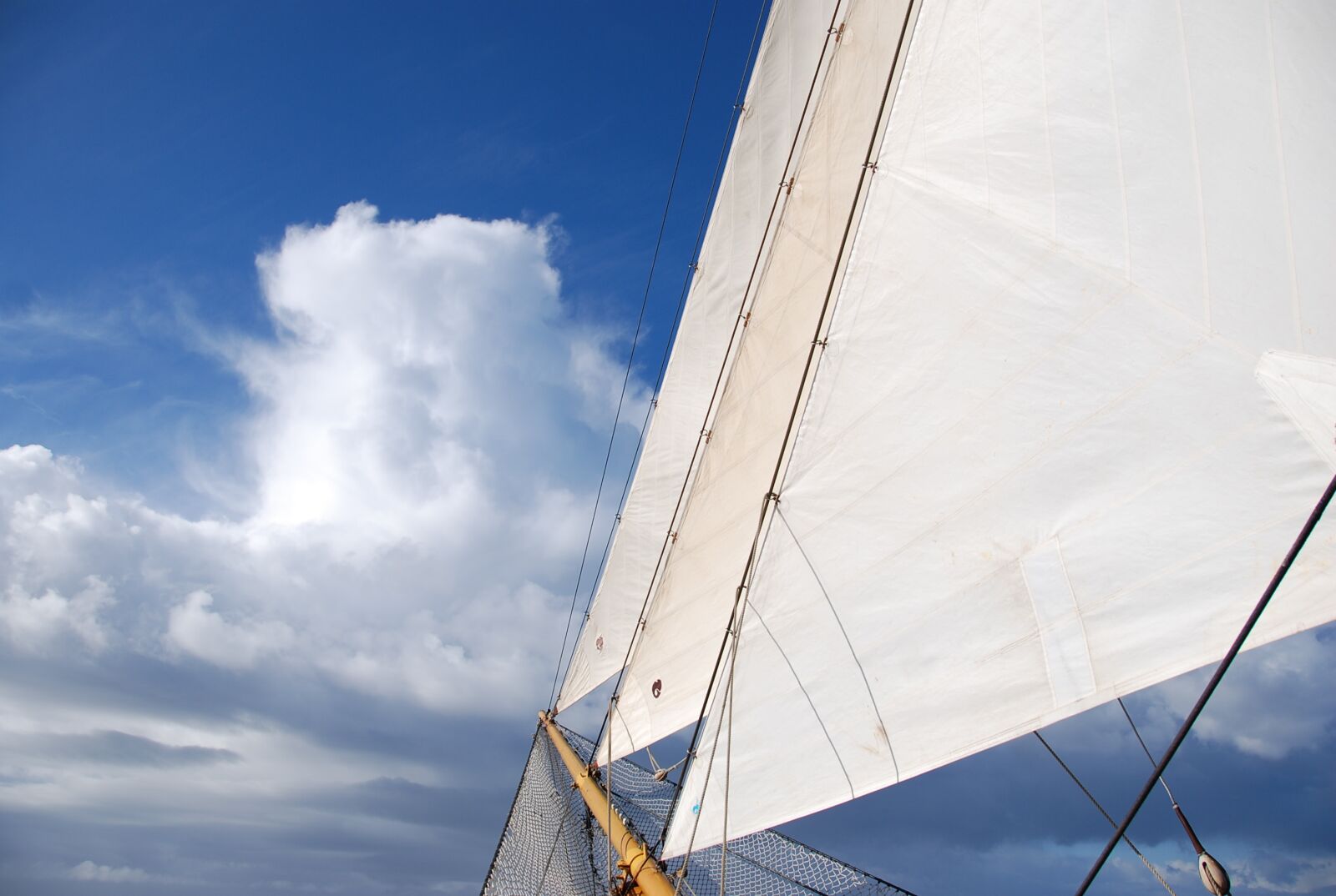 Nikon D80 sample photo. Sailing, boat, sail photography