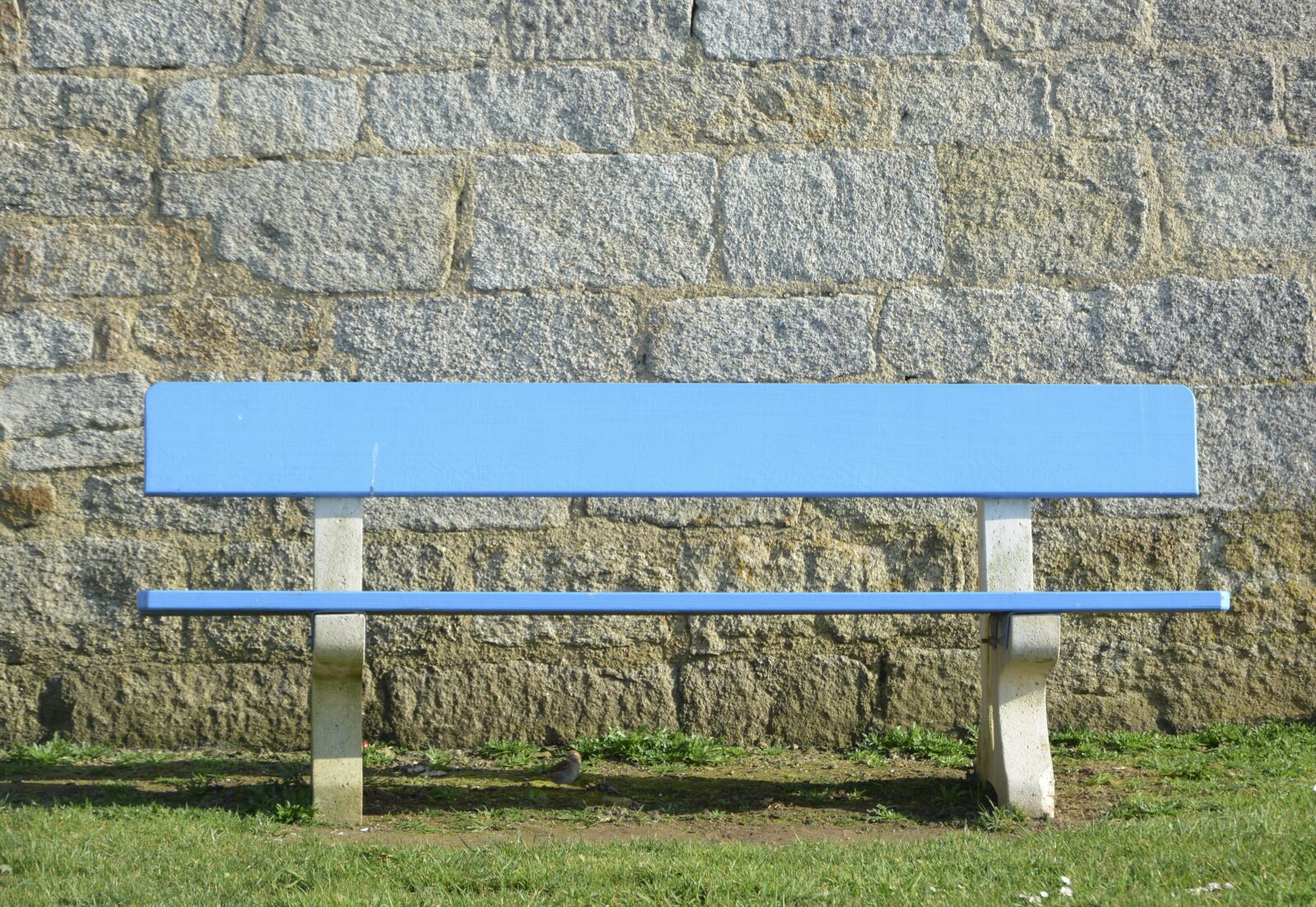 Nikon D5200 sample photo. Bench, bench blue public photography