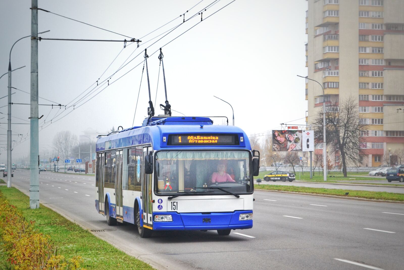 Nikon D3100 sample photo. Trolleybus, bus, city photography