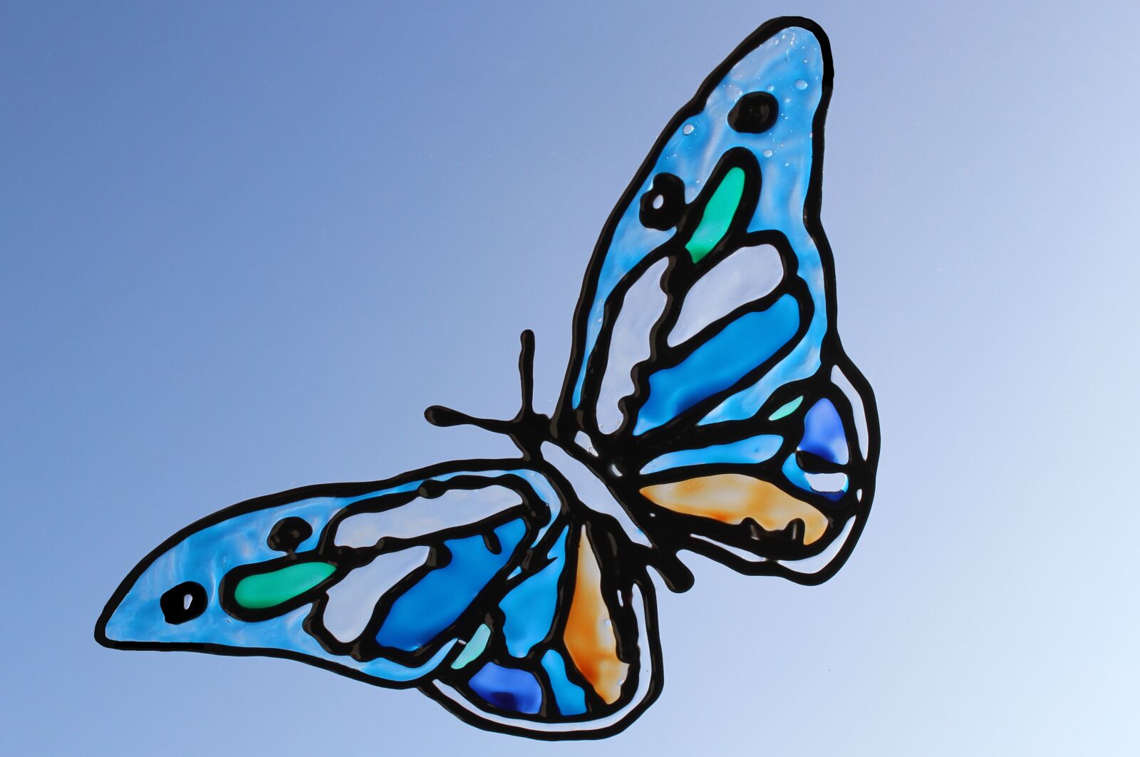 Canon EOS 600D (Rebel EOS T3i / EOS Kiss X5) sample photo. Window, color, butterfly photography