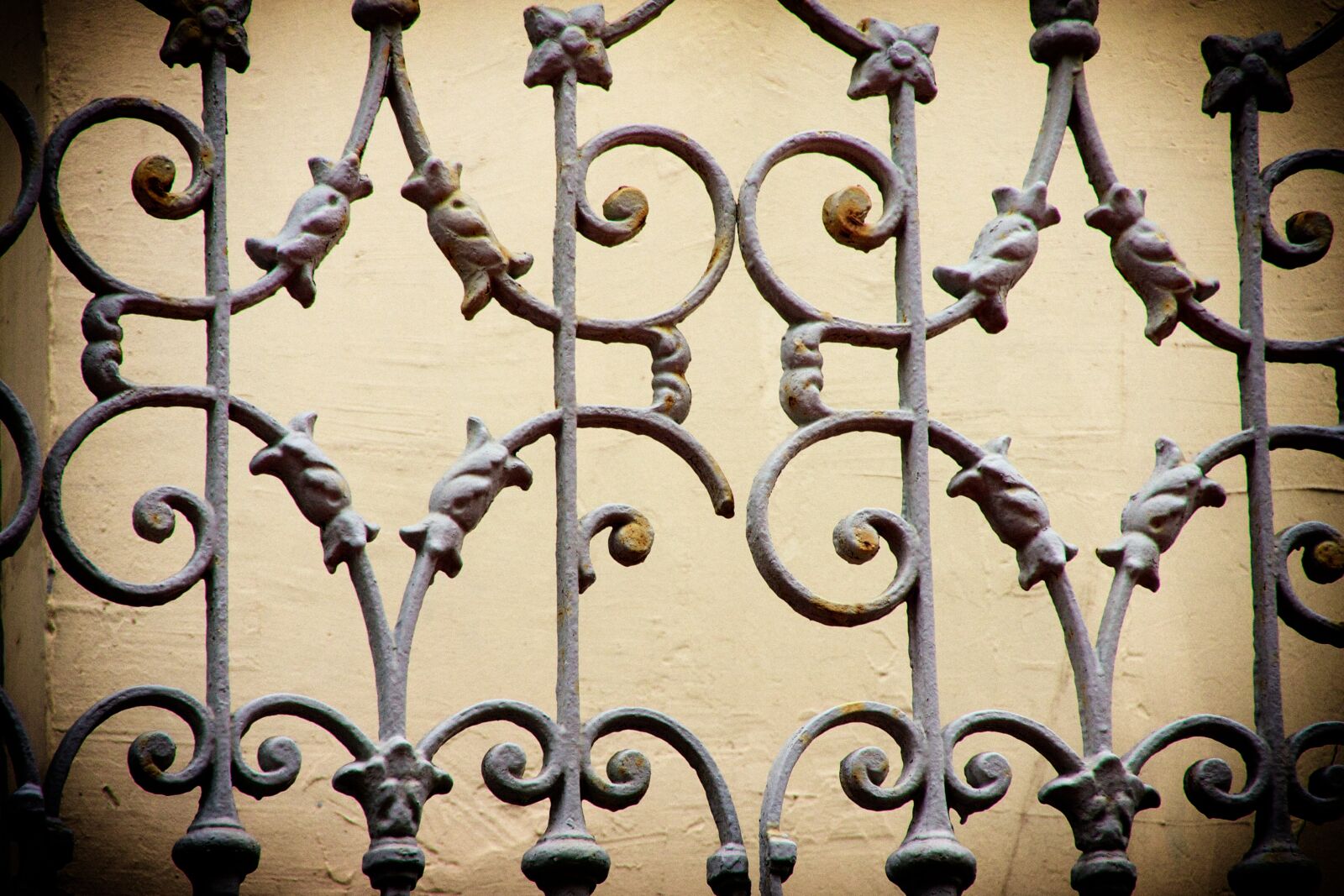 Canon EOS 40D sample photo. Fence, grid, lattice fence photography