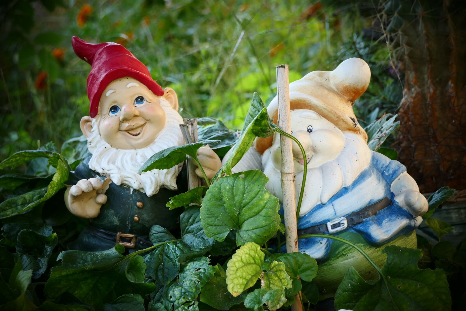 Panasonic Lumix DMC-FZ2500 (Lumix DMC-FZ2000) sample photo. Dwarfs, garden, gnome photography