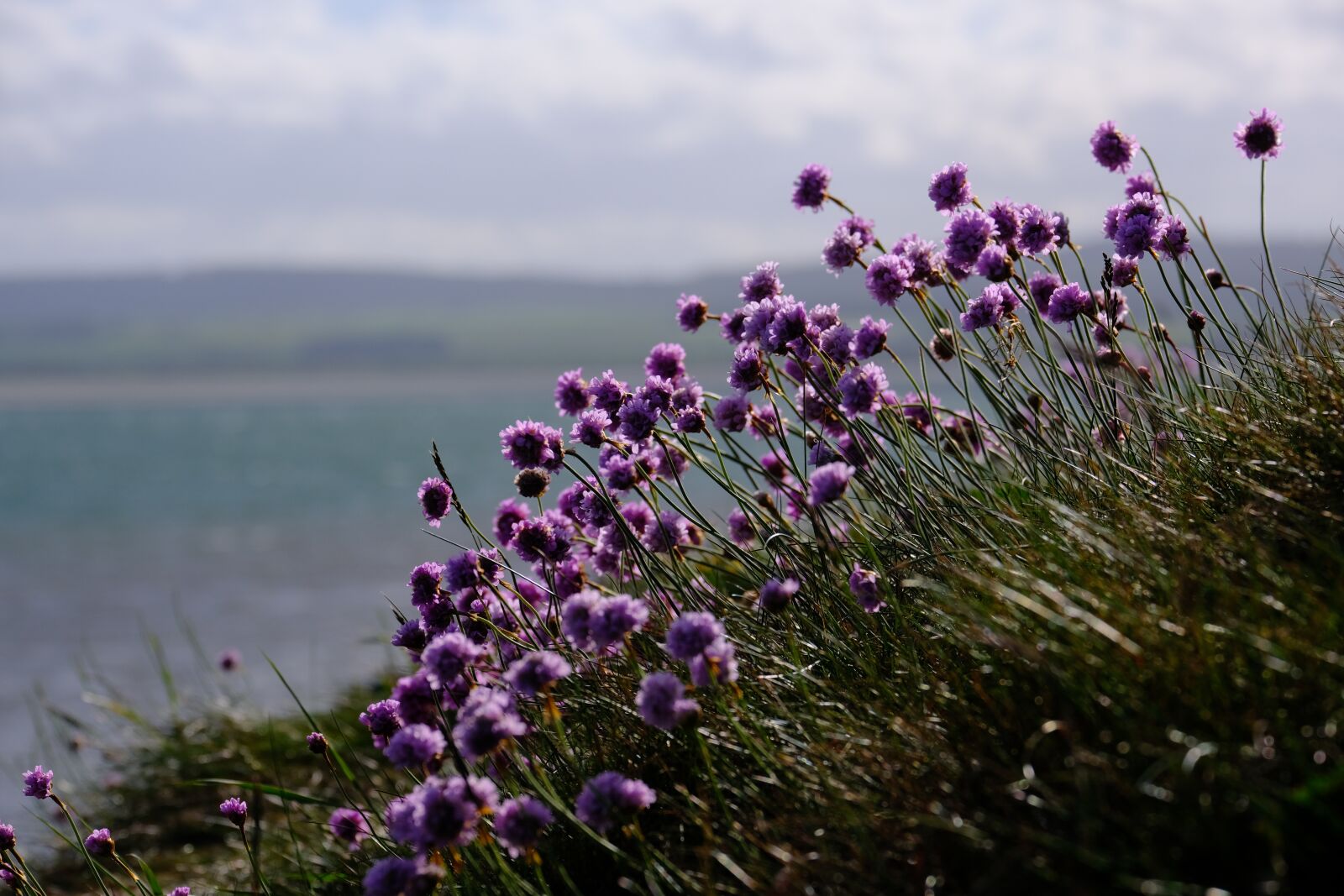Fujifilm XF 55-200mm F3.5-4.8 R LM OIS sample photo. Sea, coast, nature photography