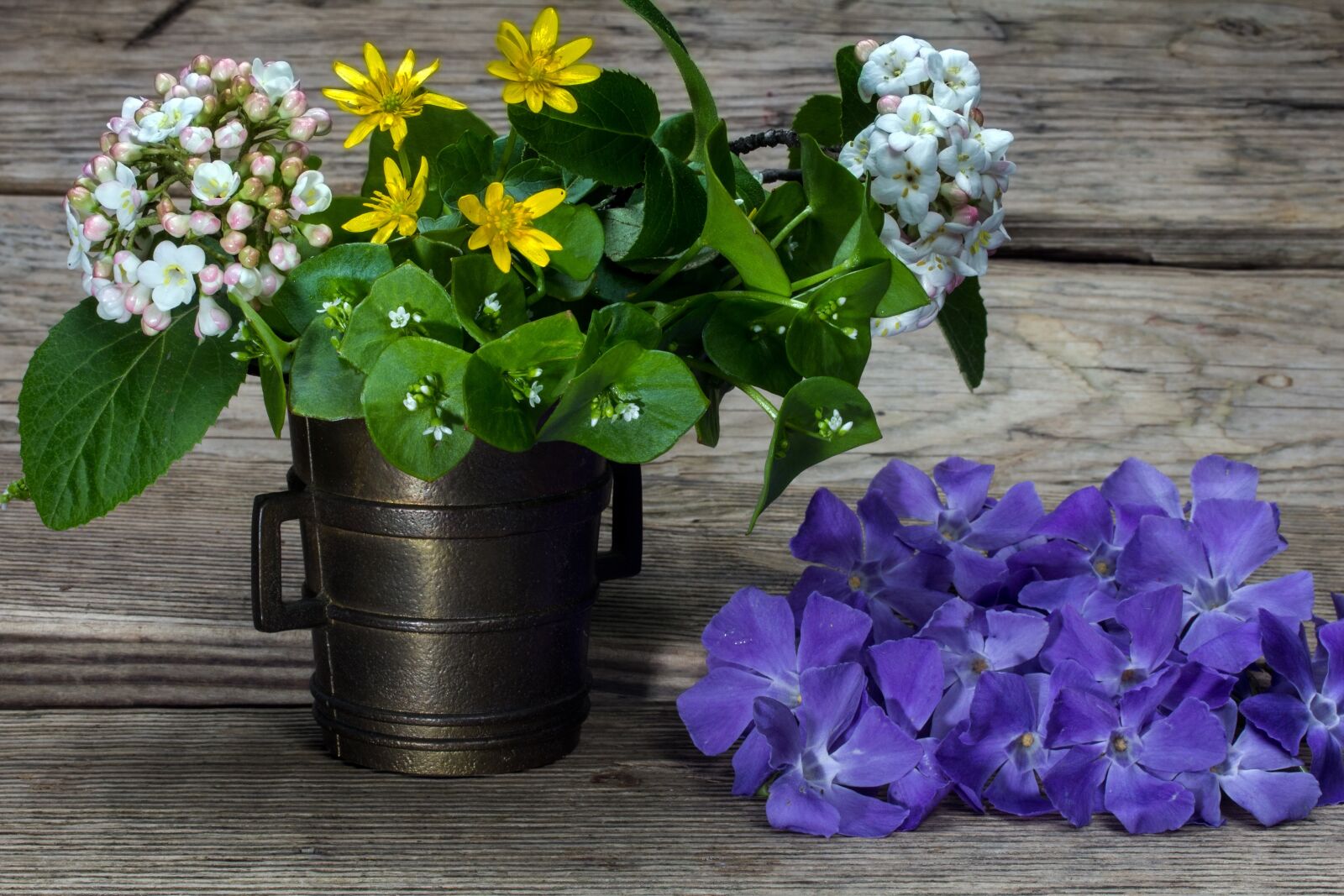Canon EF-S 60mm F2.8 Macro USM sample photo. Still life, flowers, wood photography