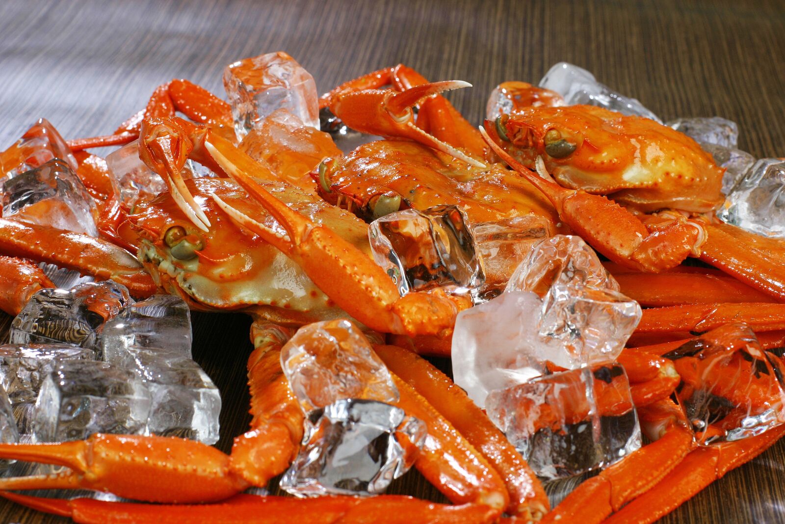 Canon EOS 10D sample photo. Snow crab, crab, food photography