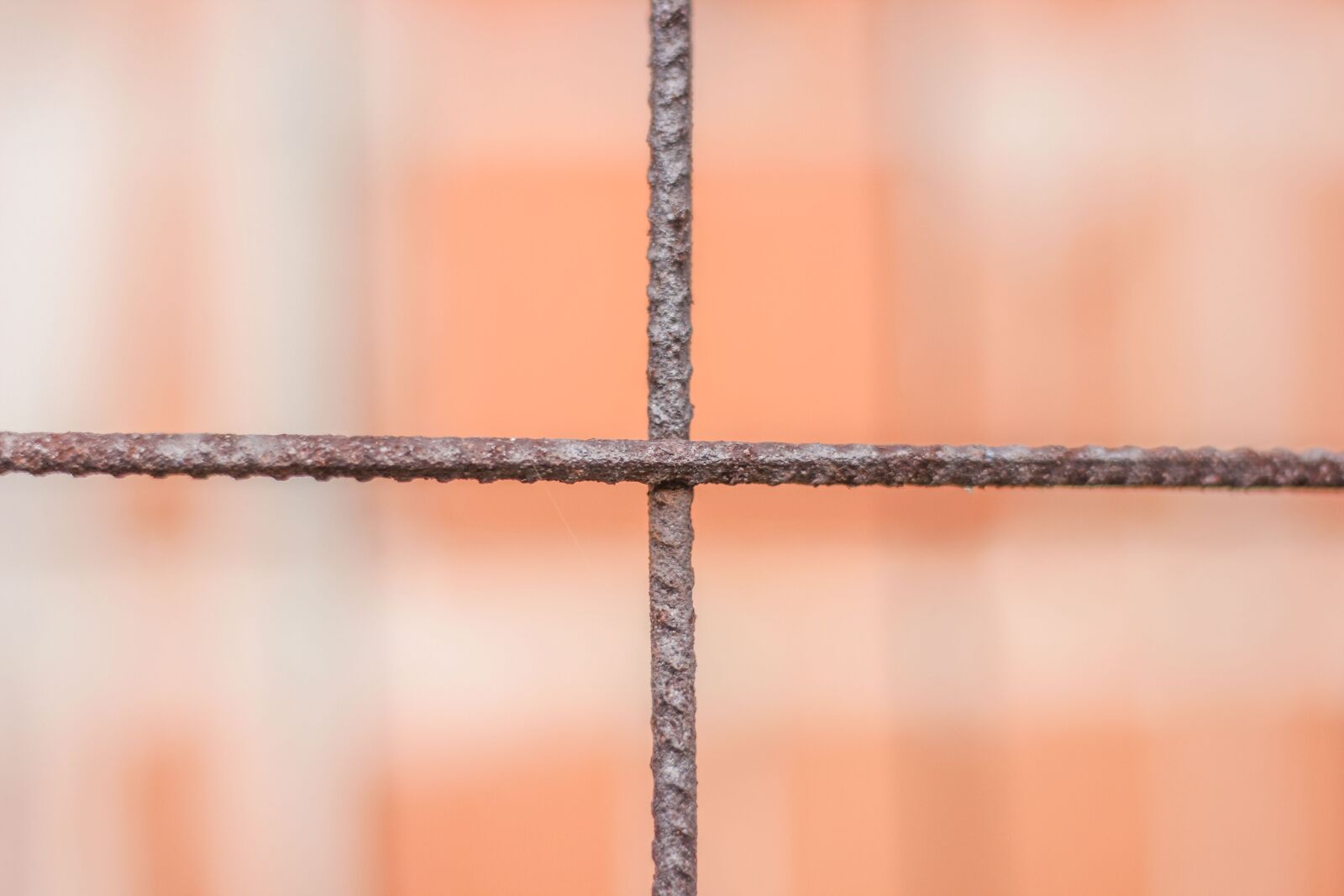 Canon EOS 600D (Rebel EOS T3i / EOS Kiss X5) + Canon EF 50mm F1.8 STM sample photo. Metal, wire, old photography