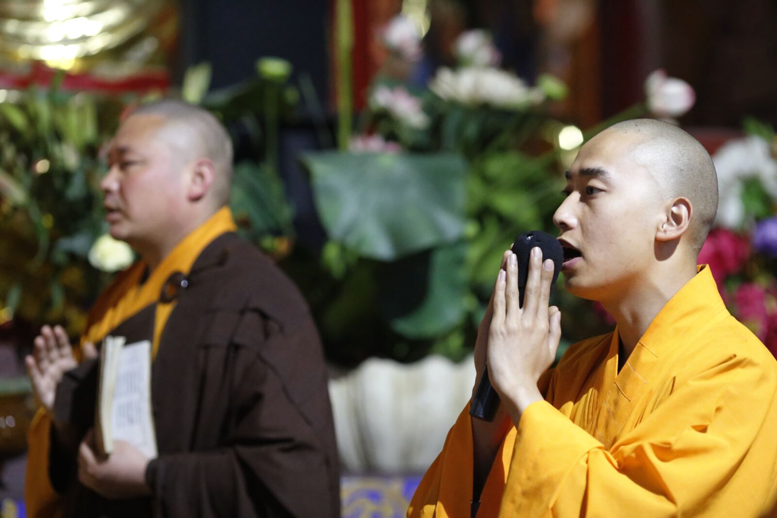 Canon EOS 6D + Canon EF 135mm F2L USM sample photo. Buddhism, monks, monk photography