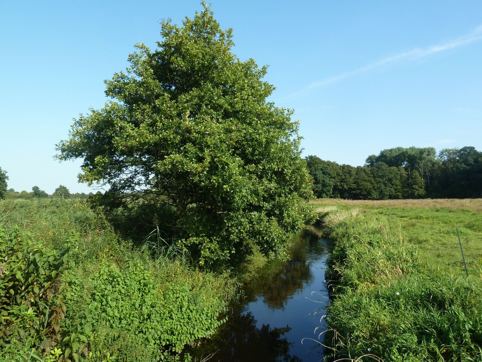 Panasonic Lumix DMC-ZS5 (Lumix DMC-TZ8) sample photo. Bach, field, water photography