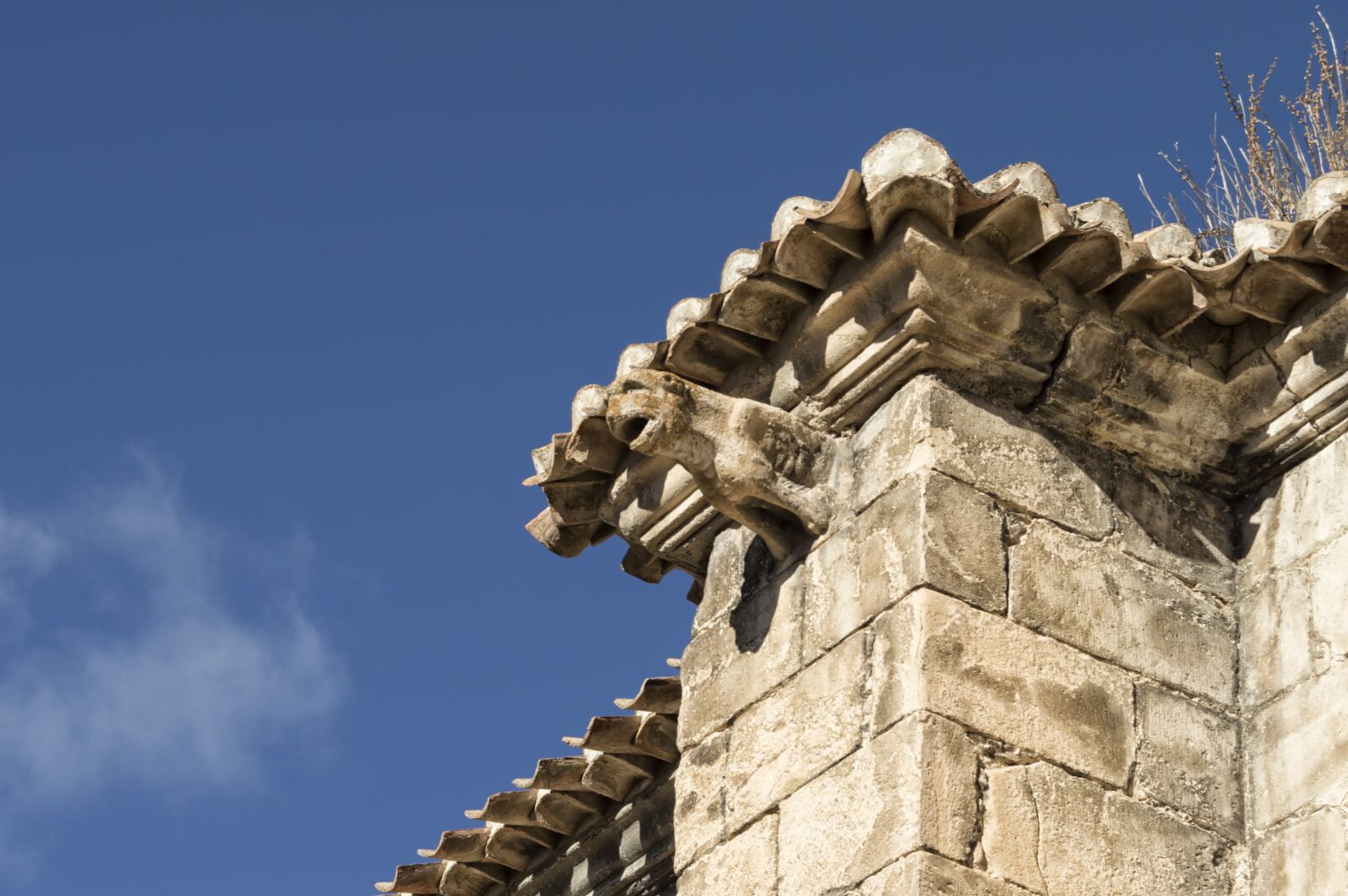 Nikon D3200 sample photo. Gargoyle, trim, architecture photography