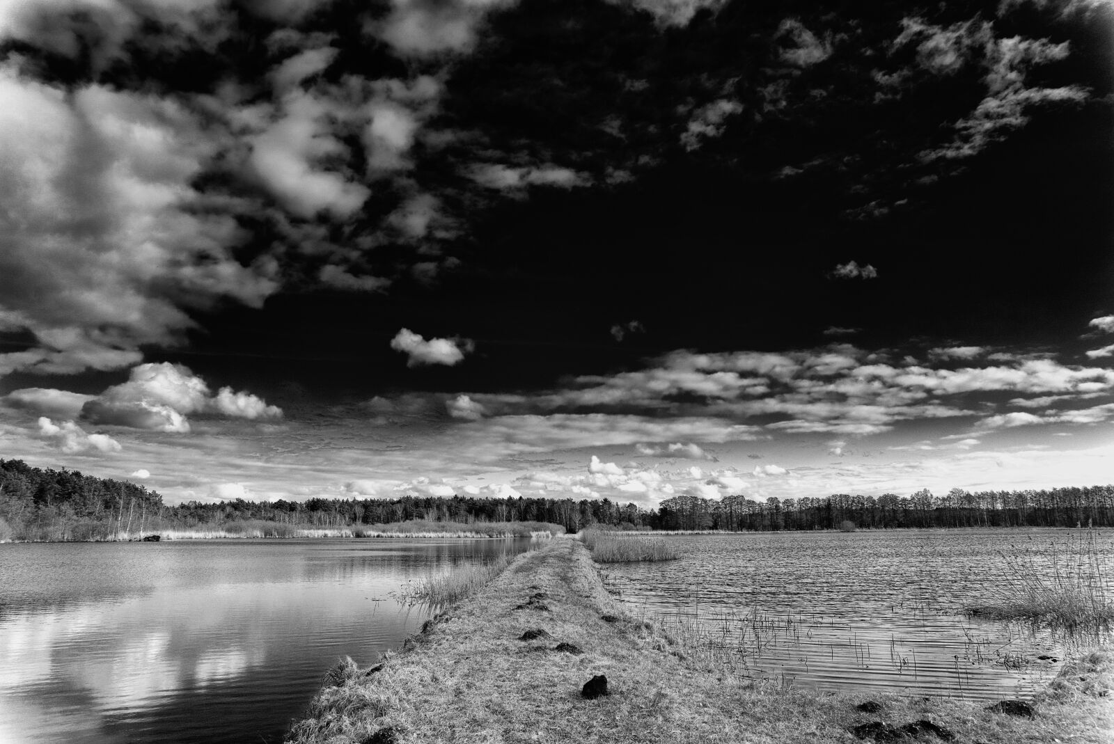 Sony a6000 sample photo. Black and white, sky photography