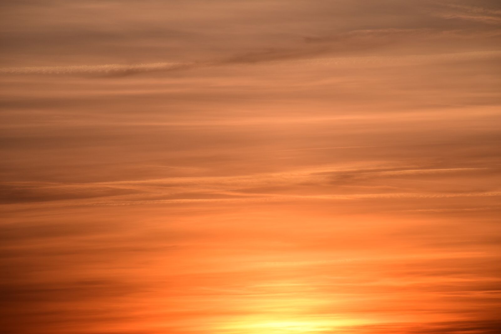 Nikon D3300 sample photo. Background, sunset, orange photography