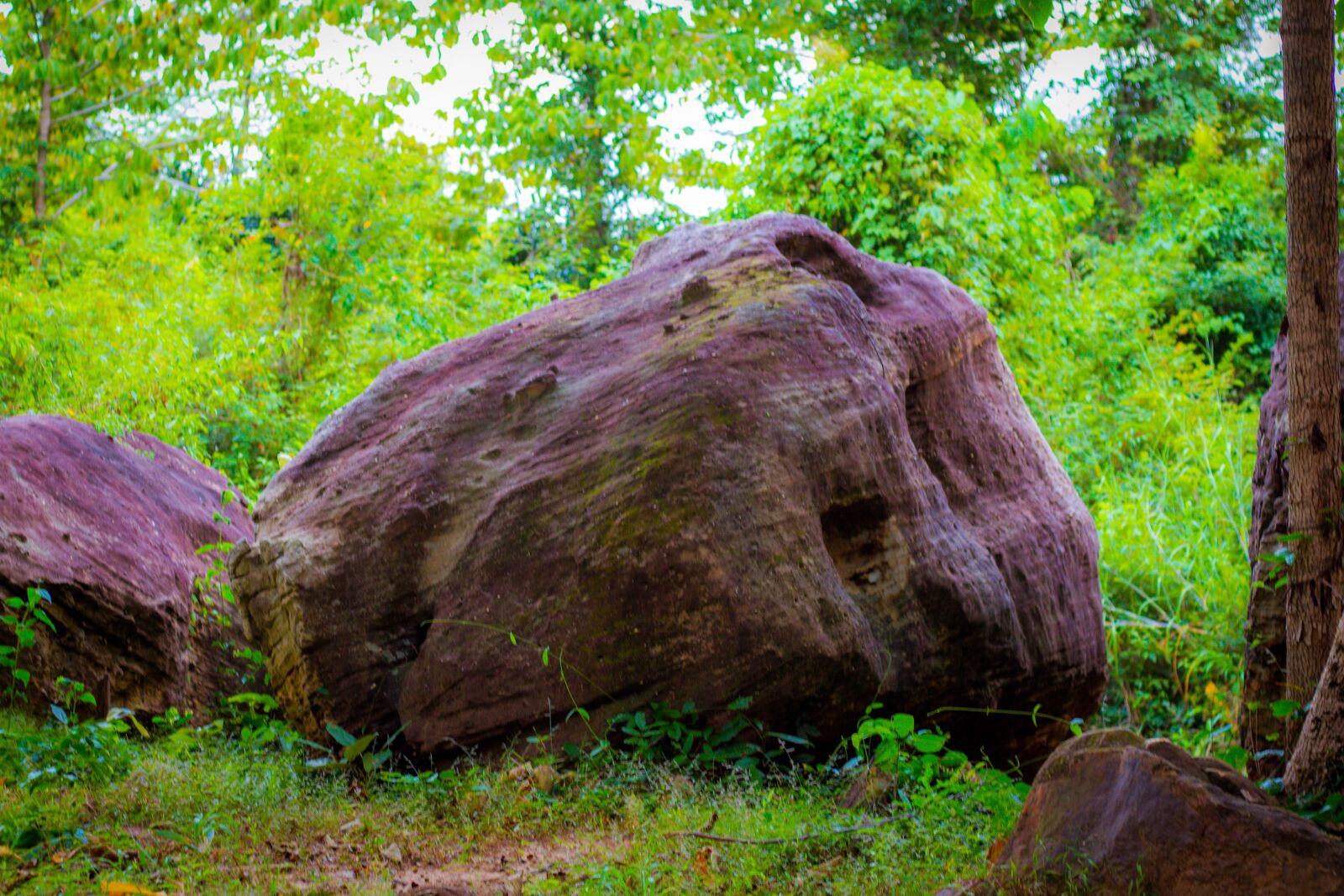 Canon EOS 700D (EOS Rebel T5i / EOS Kiss X7i) + Canon EF 50mm F1.8 STM sample photo. Rock, pa, mountains photography