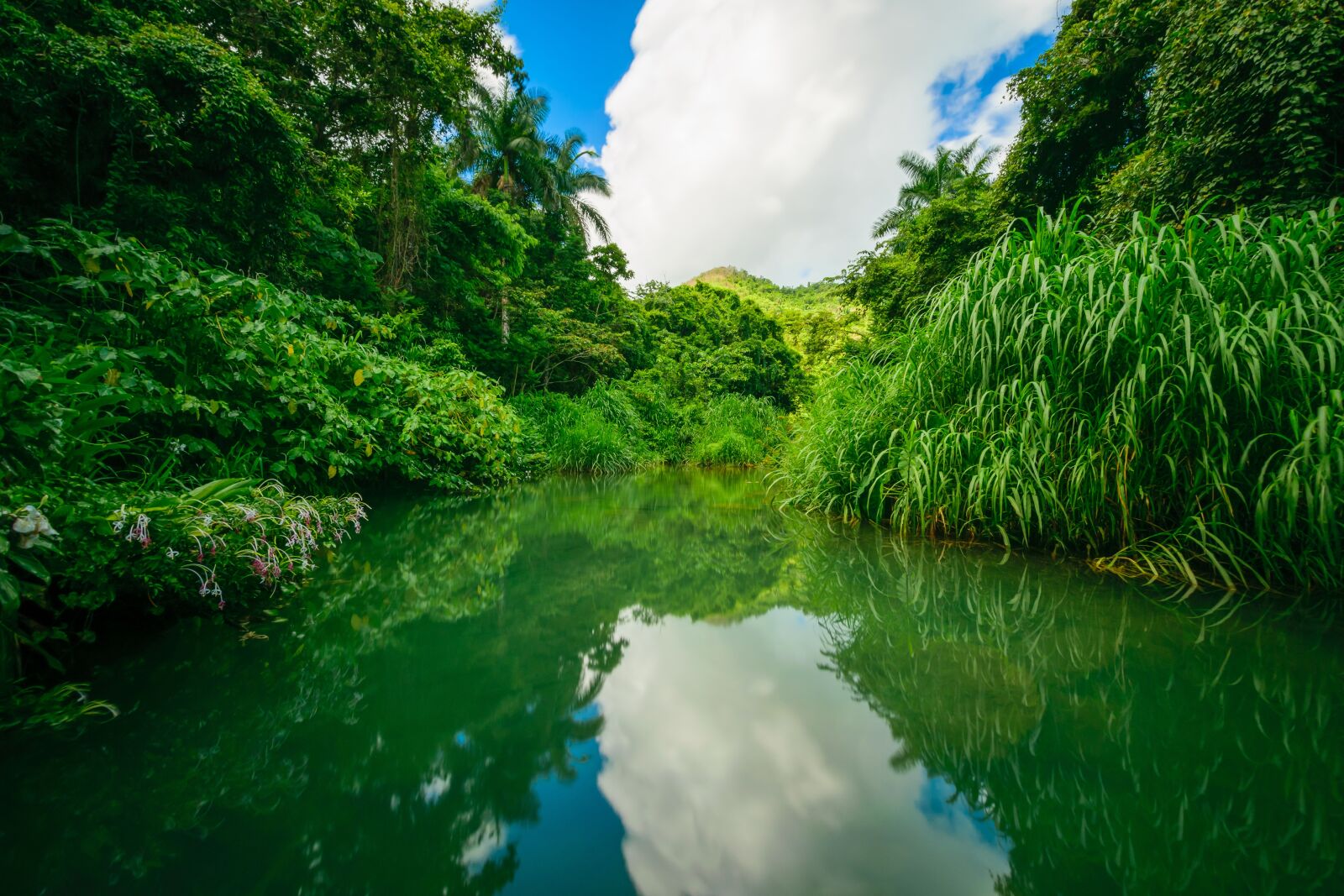 Nikon D5300 sample photo. Waters, nature, river photography