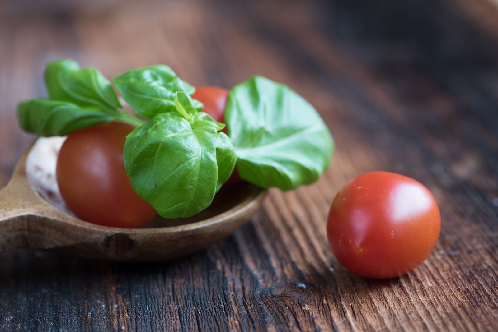 Nikon D750 sample photo. Tomatoes, small tomatoes, red photography
