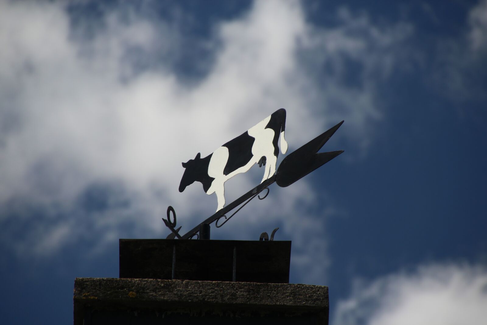 Canon EOS 600D (Rebel EOS T3i / EOS Kiss X5) sample photo. Cow, weather vane, wind photography