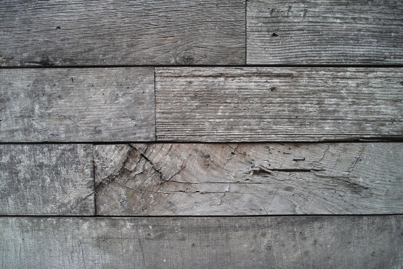 Sigma DP1 Merrill sample photo. Wood-fibre boards, wood, backgrounds photography