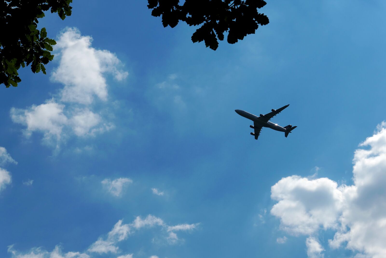 Panasonic Lumix DMC-LX10 (Lumix DMC-LX15) sample photo. Approach, departure, flying photography