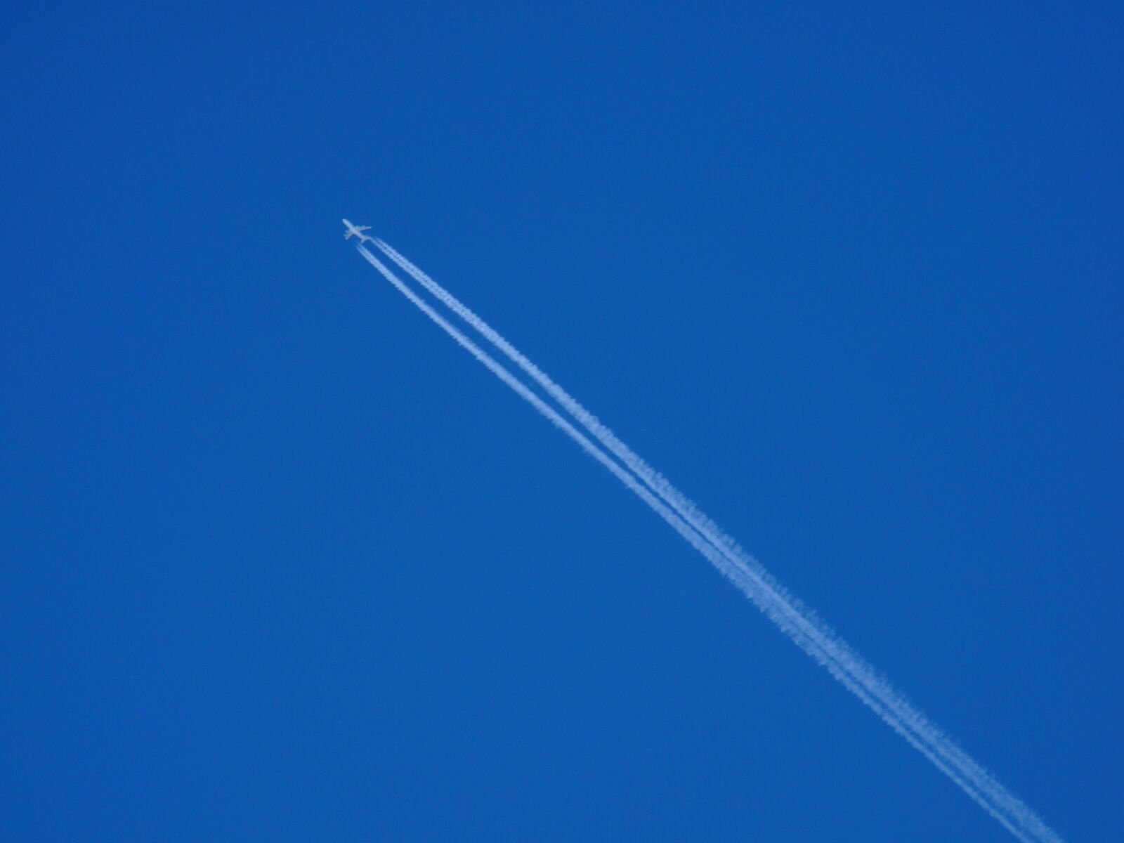 Fujifilm FinePix S6500fd sample photo. Aircraft, airplane, blue, blue photography