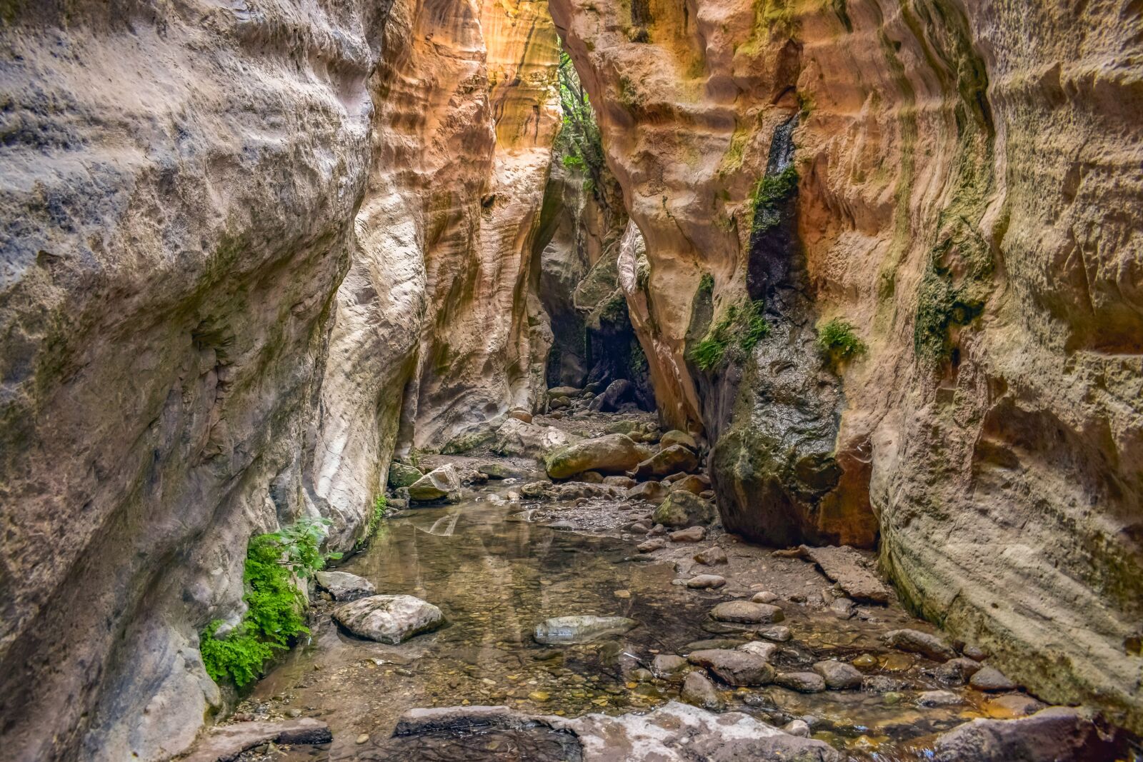 Nikon D3300 sample photo. Cyprus, akamas, avakas gorge photography