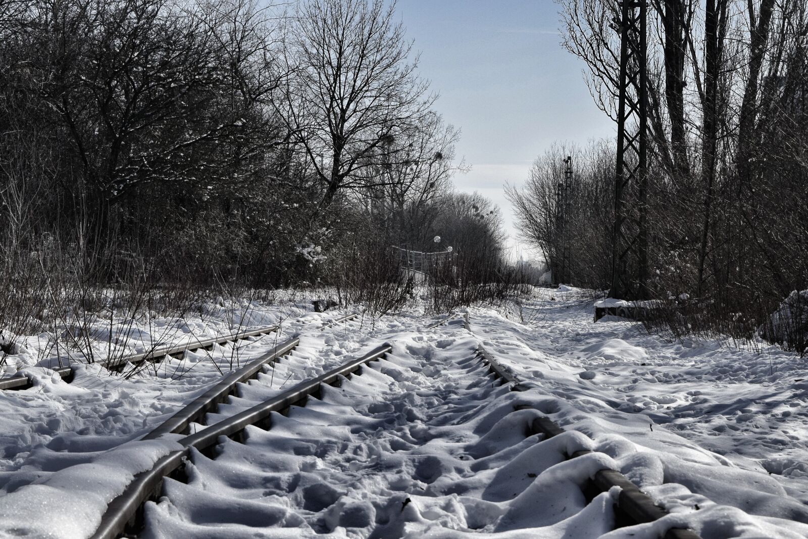 Nikon D3300 sample photo. Gleise, snow, trees photography