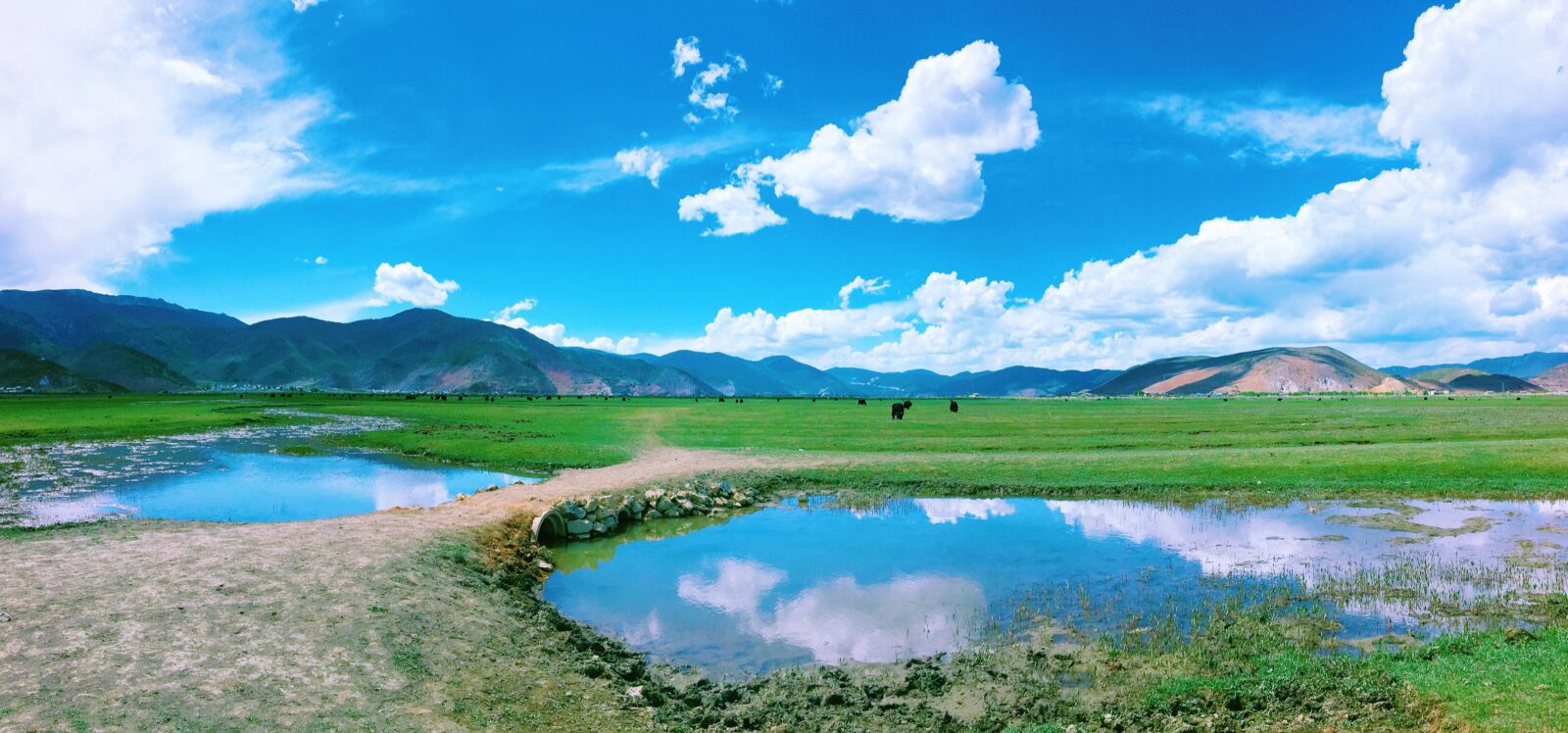 iPhone 6s back camera 4.15mm f/2.2 sample photo. Shangri-la, yunnan, sky photography