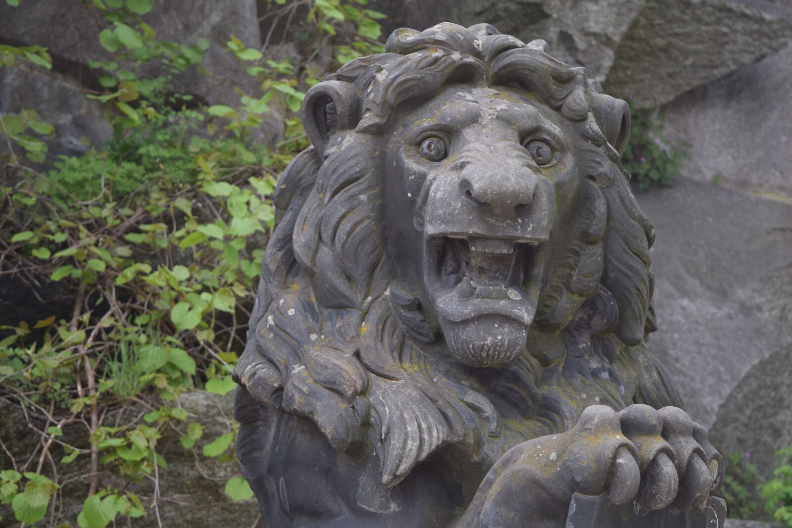 Nikon D3300 sample photo. Lion, figure, stone figure photography