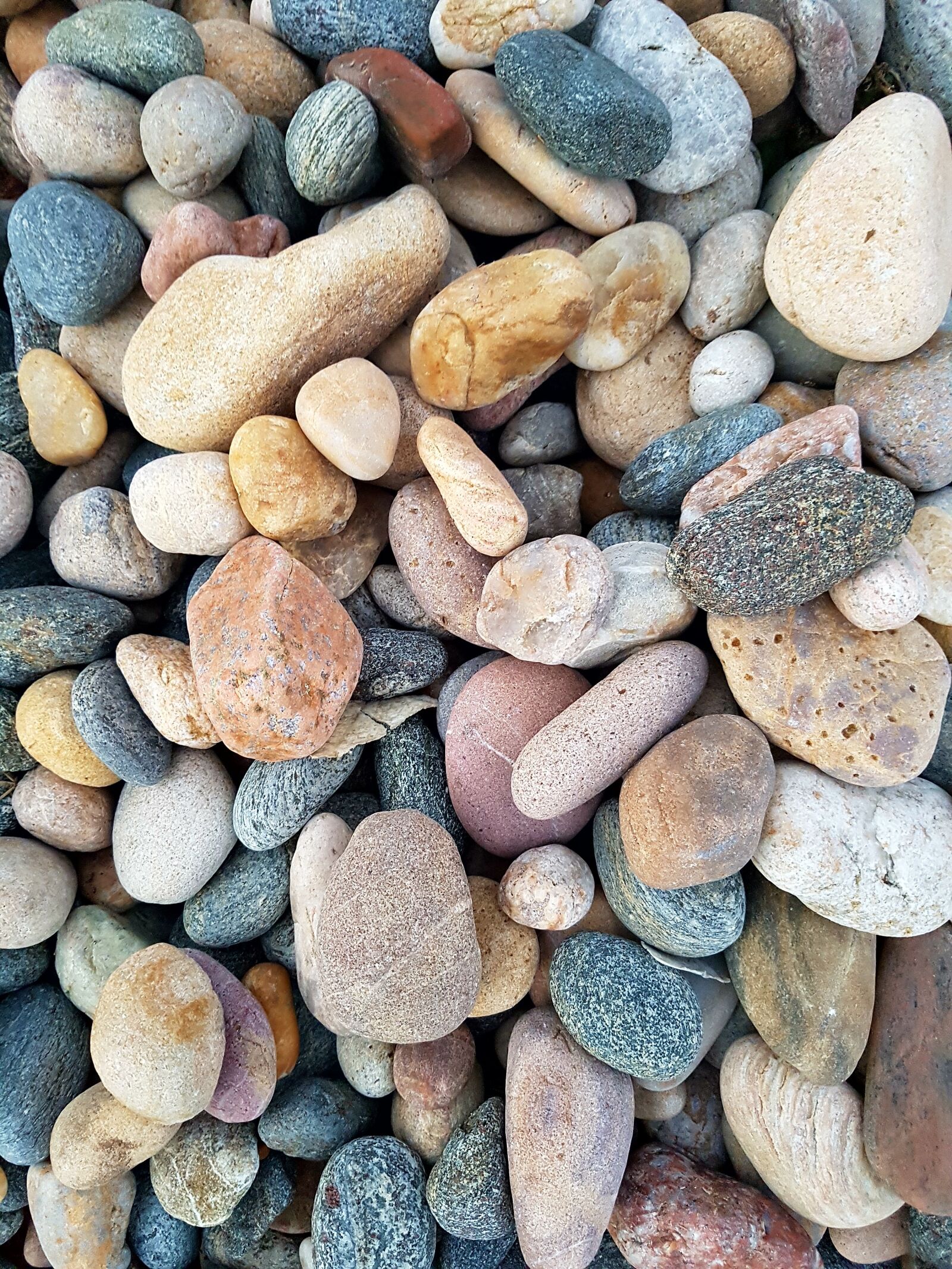 Samsung Galaxy S7 Edge sample photo. Seashore, pebbles, nature photography
