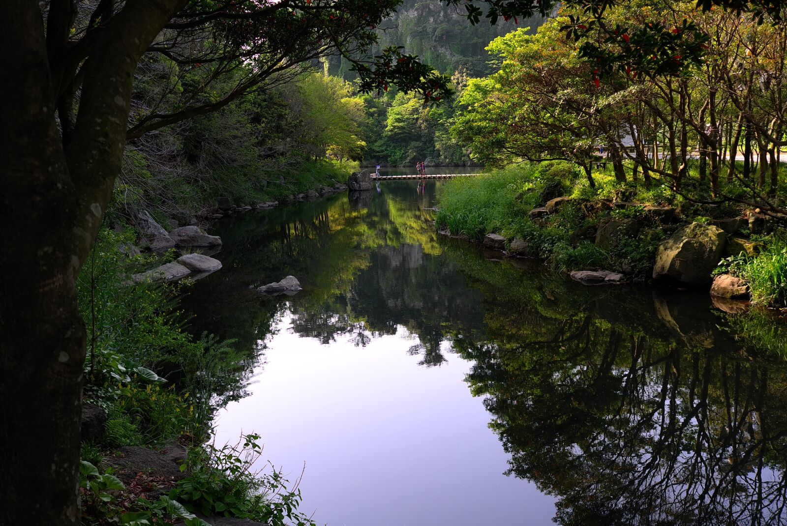 Leica X1 sample photo. The body of water photography