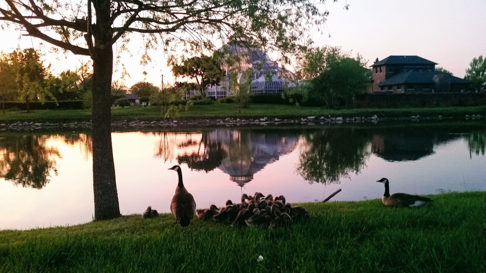 Samsung Galaxy S5 sample photo. Belle isle, pond, nature photography