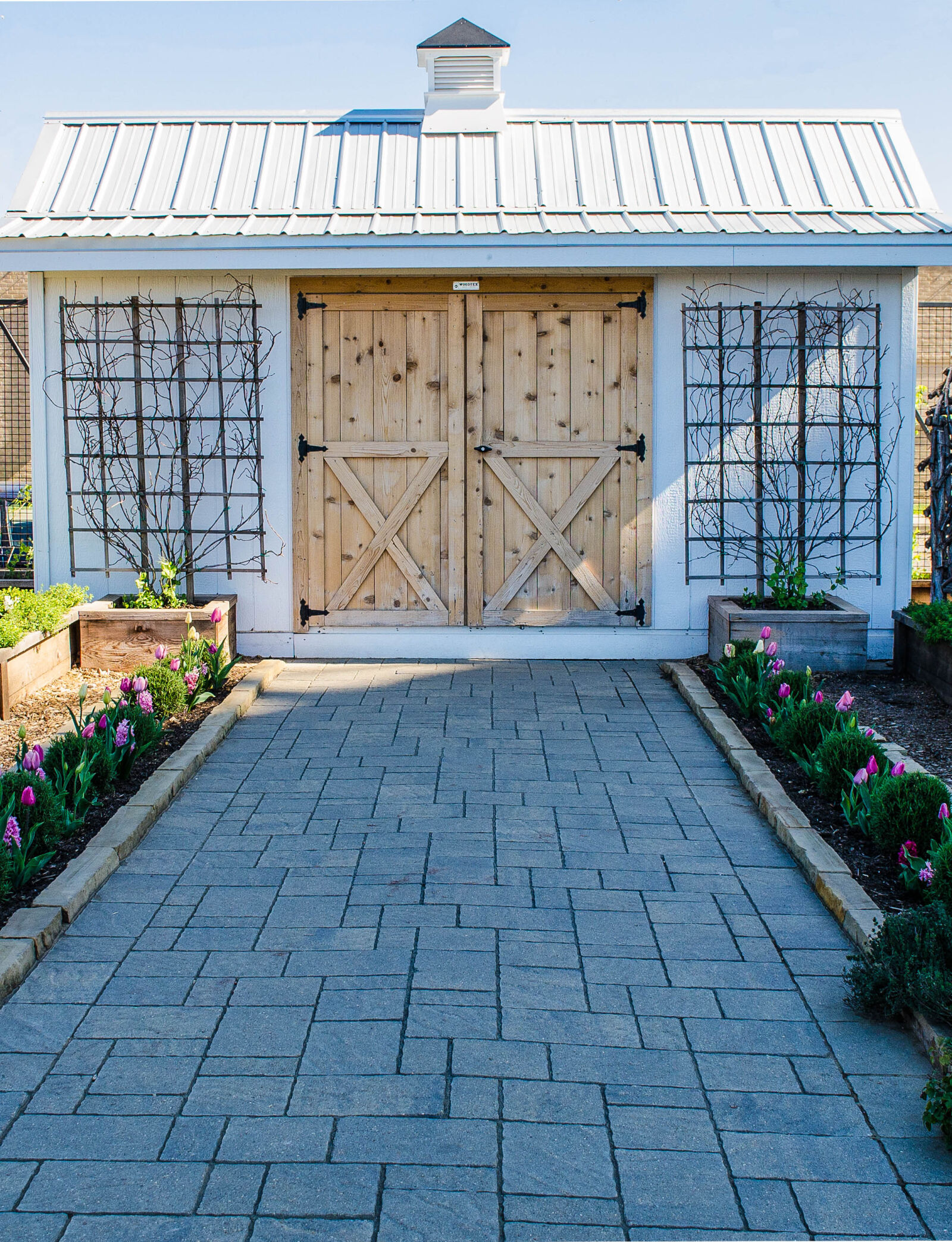 Nikon D5100 sample photo. Barn, door, shed, tulips photography