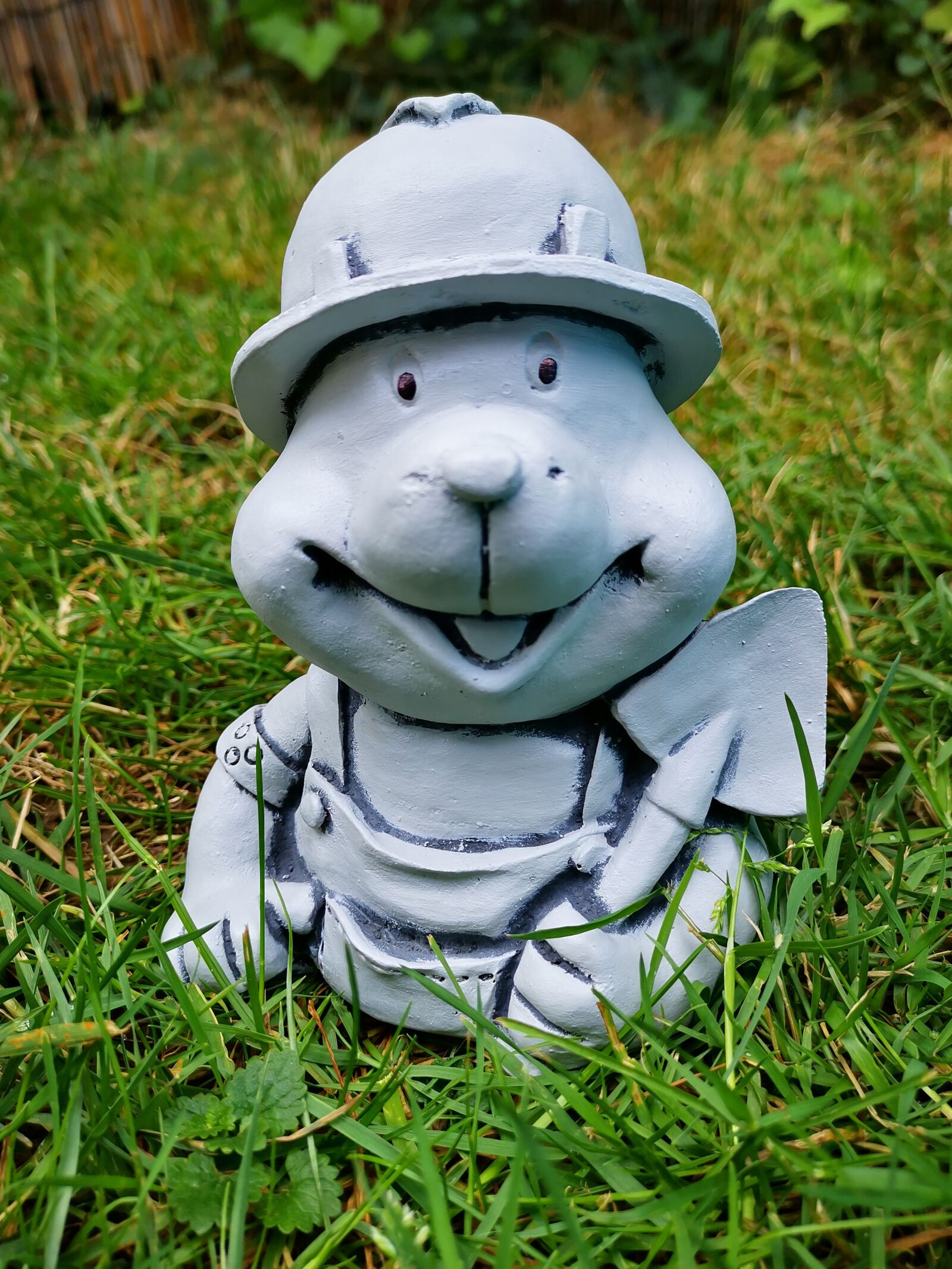 HUAWEI HMA-L29 sample photo. Mole, garden, deco photography