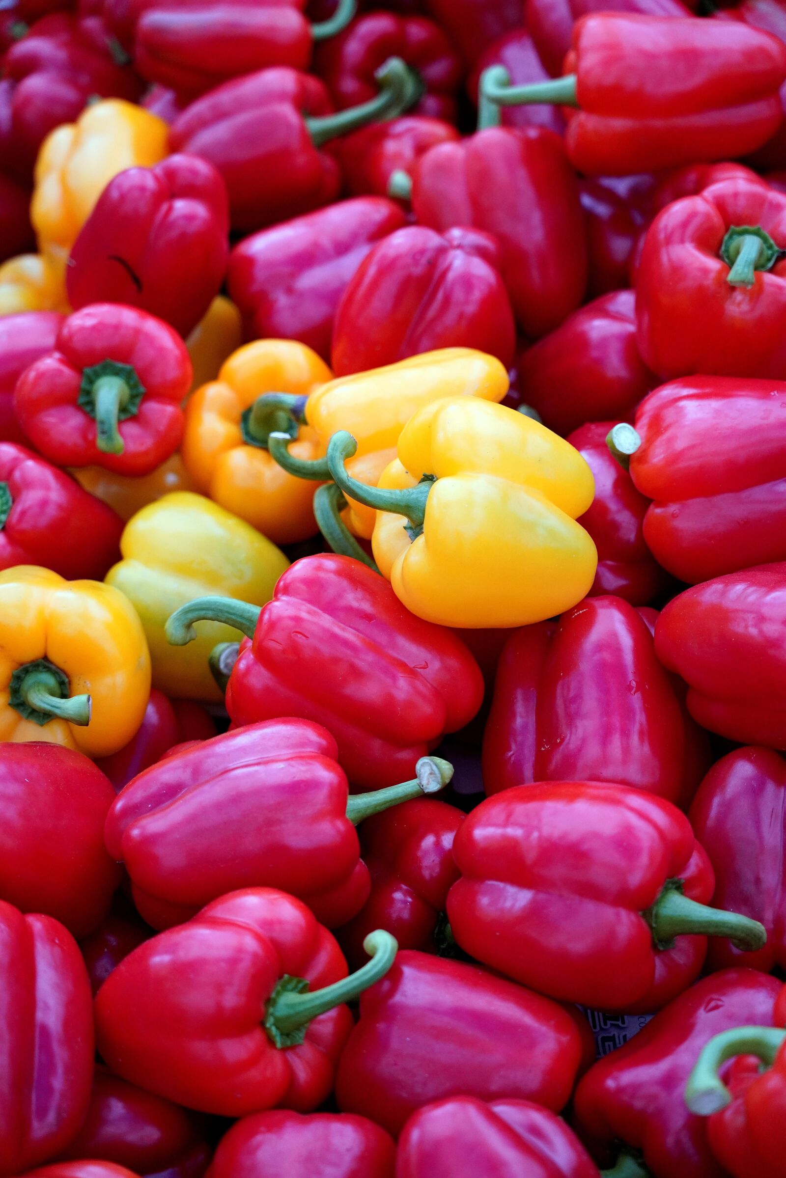 Sony FE 24-105mm F4 G OSS sample photo. Paprika, diet, vegetable photography