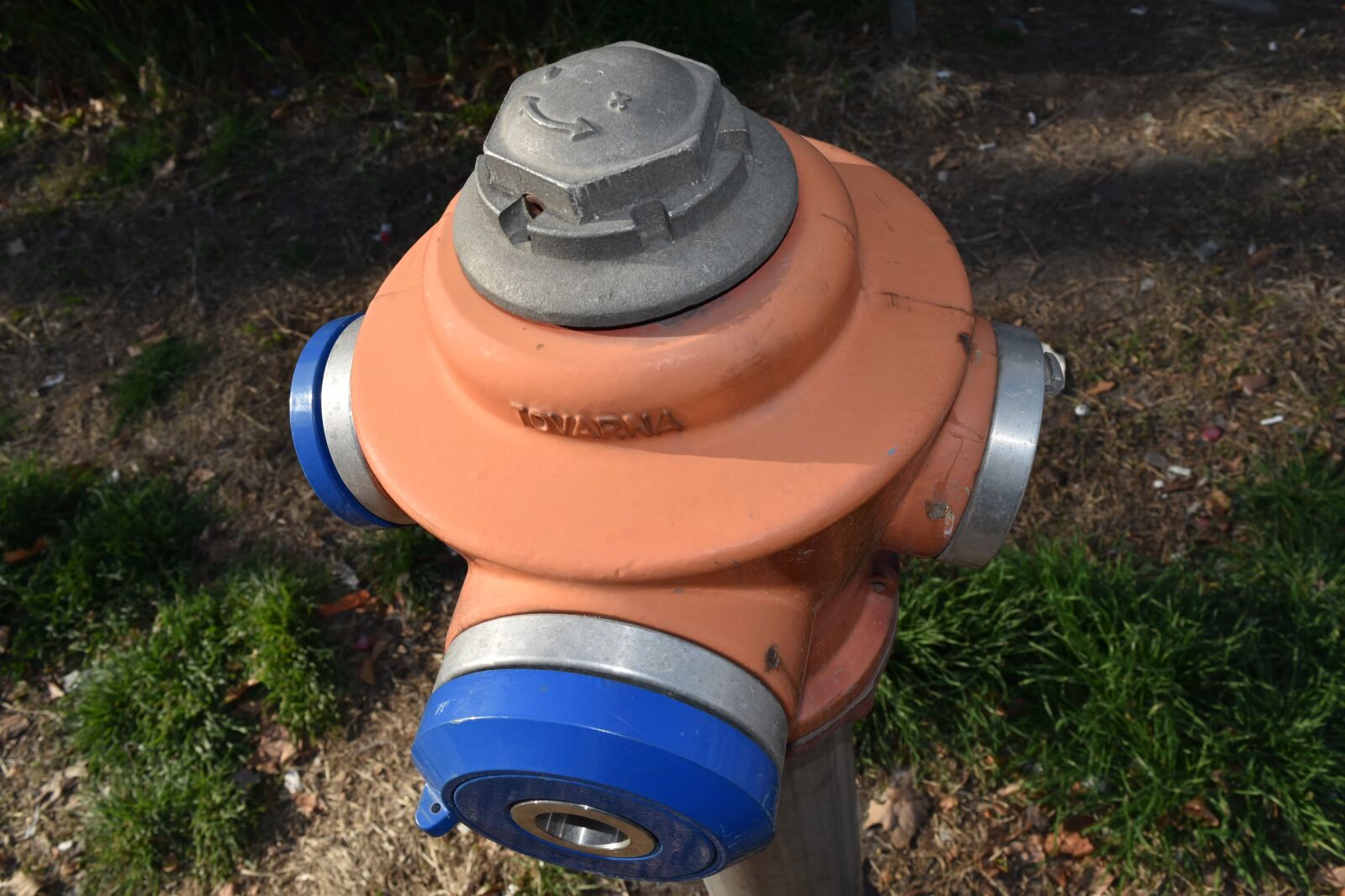 Nikon D5500 sample photo. Hydrant, outdoors, equipment, grass photography