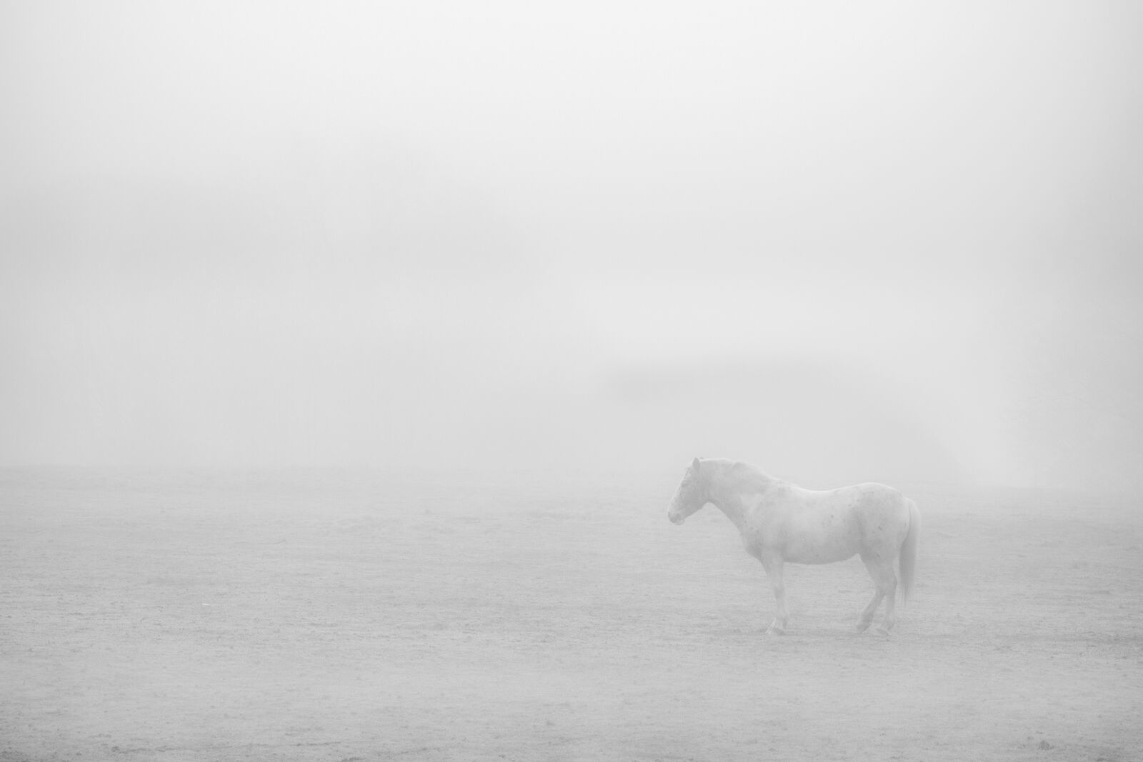Sony Cyber-shot DSC-RX100 sample photo. Landscape, mist, fog photography