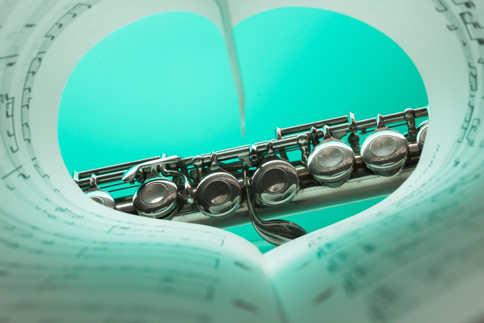 Canon EOS 70D sample photo. Flute, musical instrument, silver photography