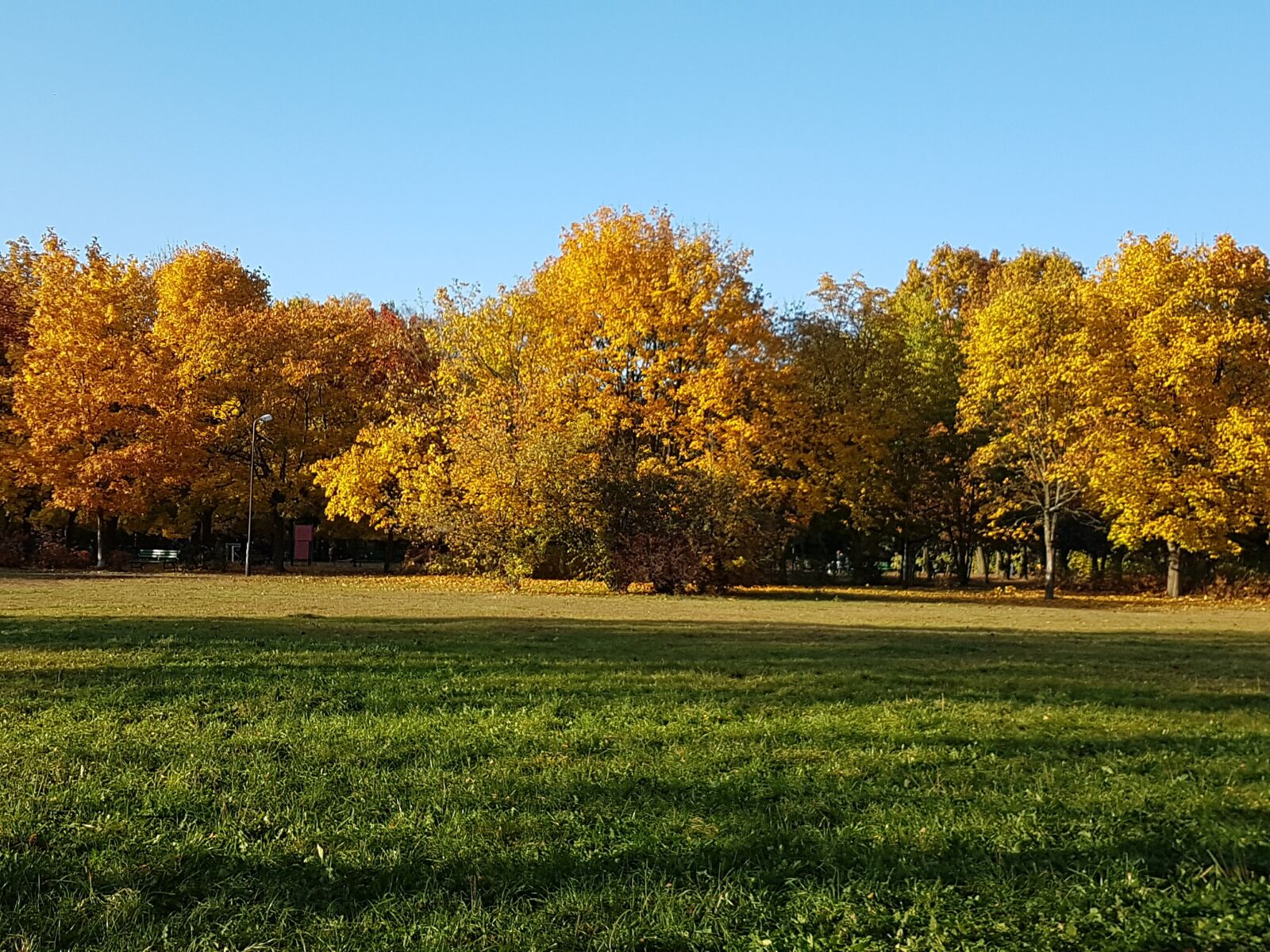 Samsung Galaxy S7 Edge sample photo. Autumn, autumn, colours, landscape photography