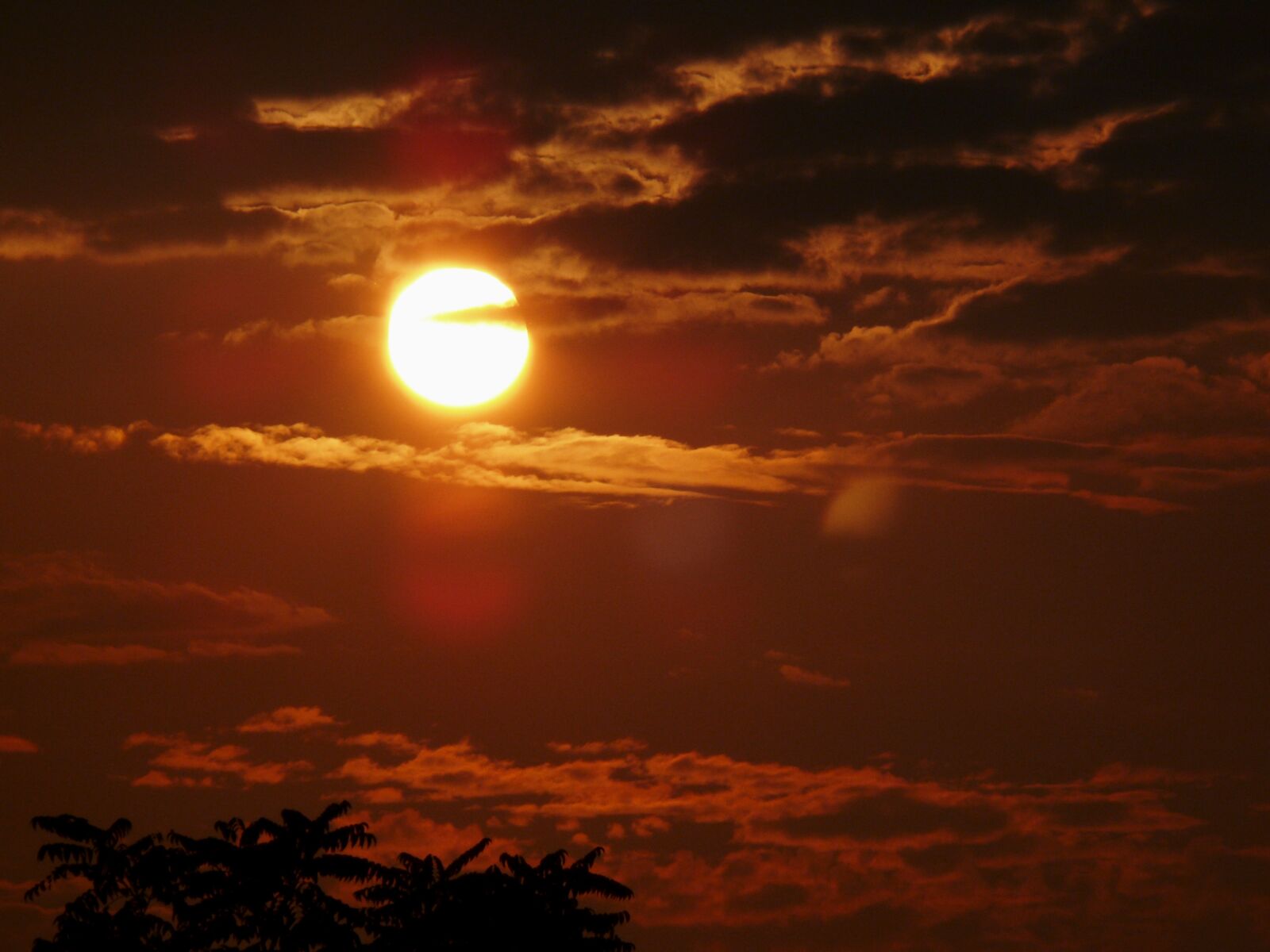 Leica V-LUX 1 sample photo. Sunset, evening, evening sun photography