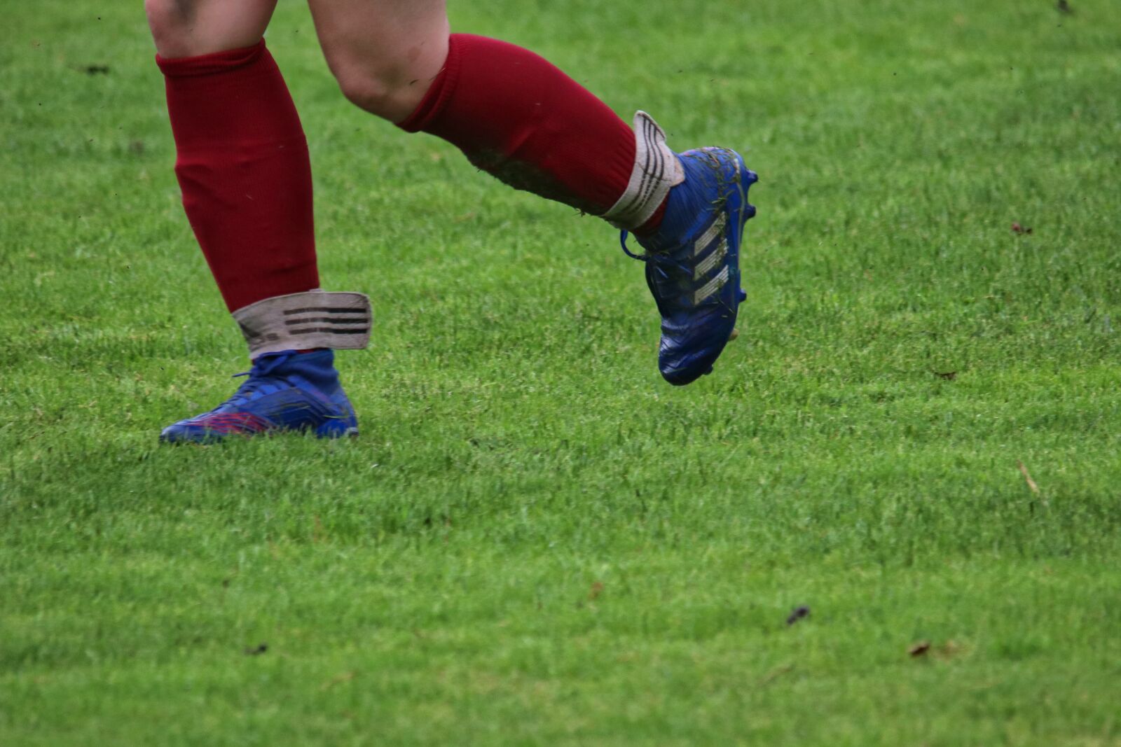 Canon EOS 80D sample photo. Soccer, women, sport photography