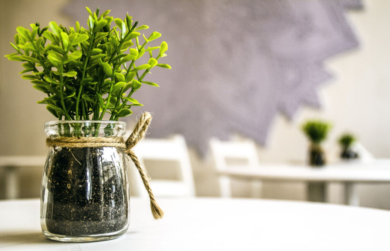 Canon EOS 7D sample photo. Flower pot, perspective, nature photography