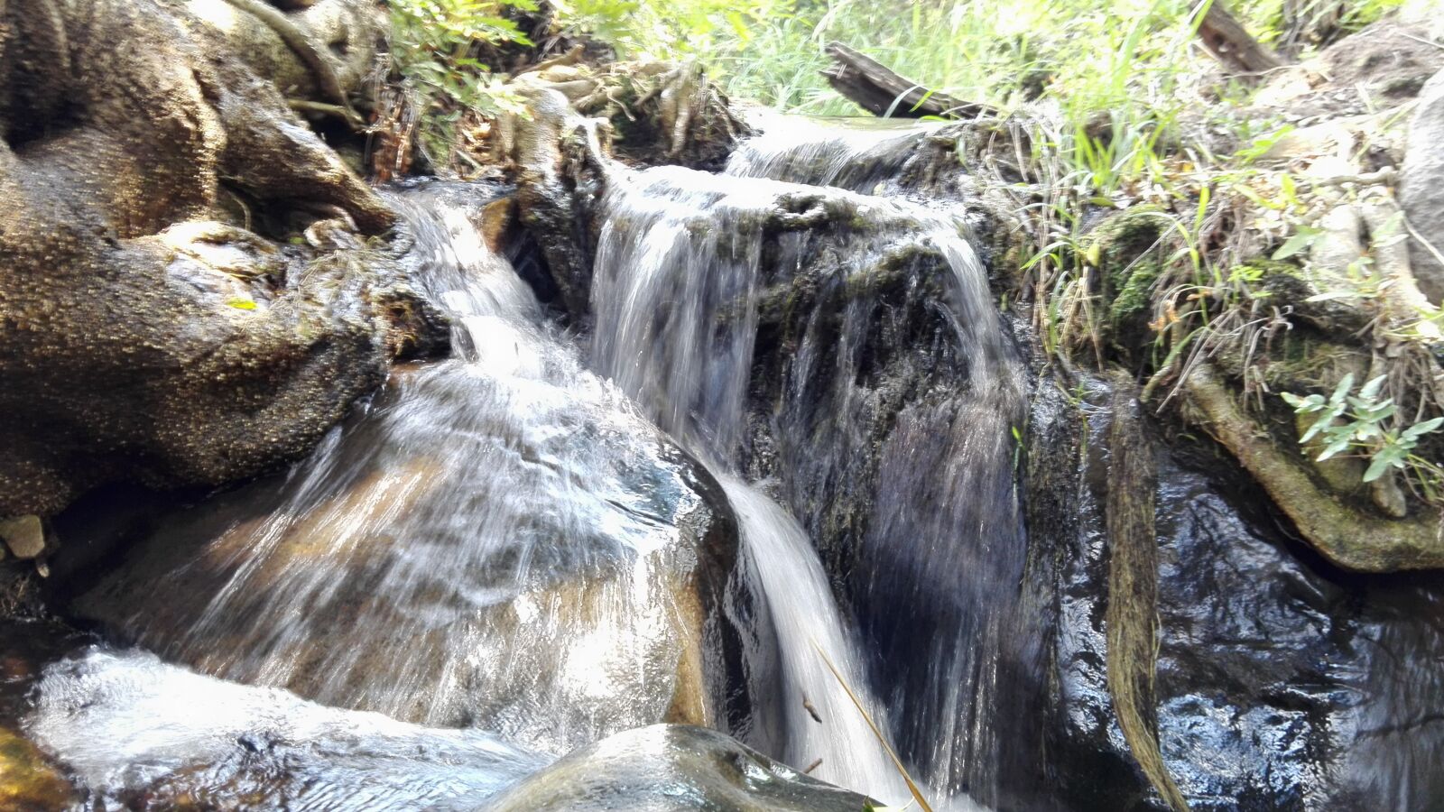 HUAWEI P8 Lite sample photo