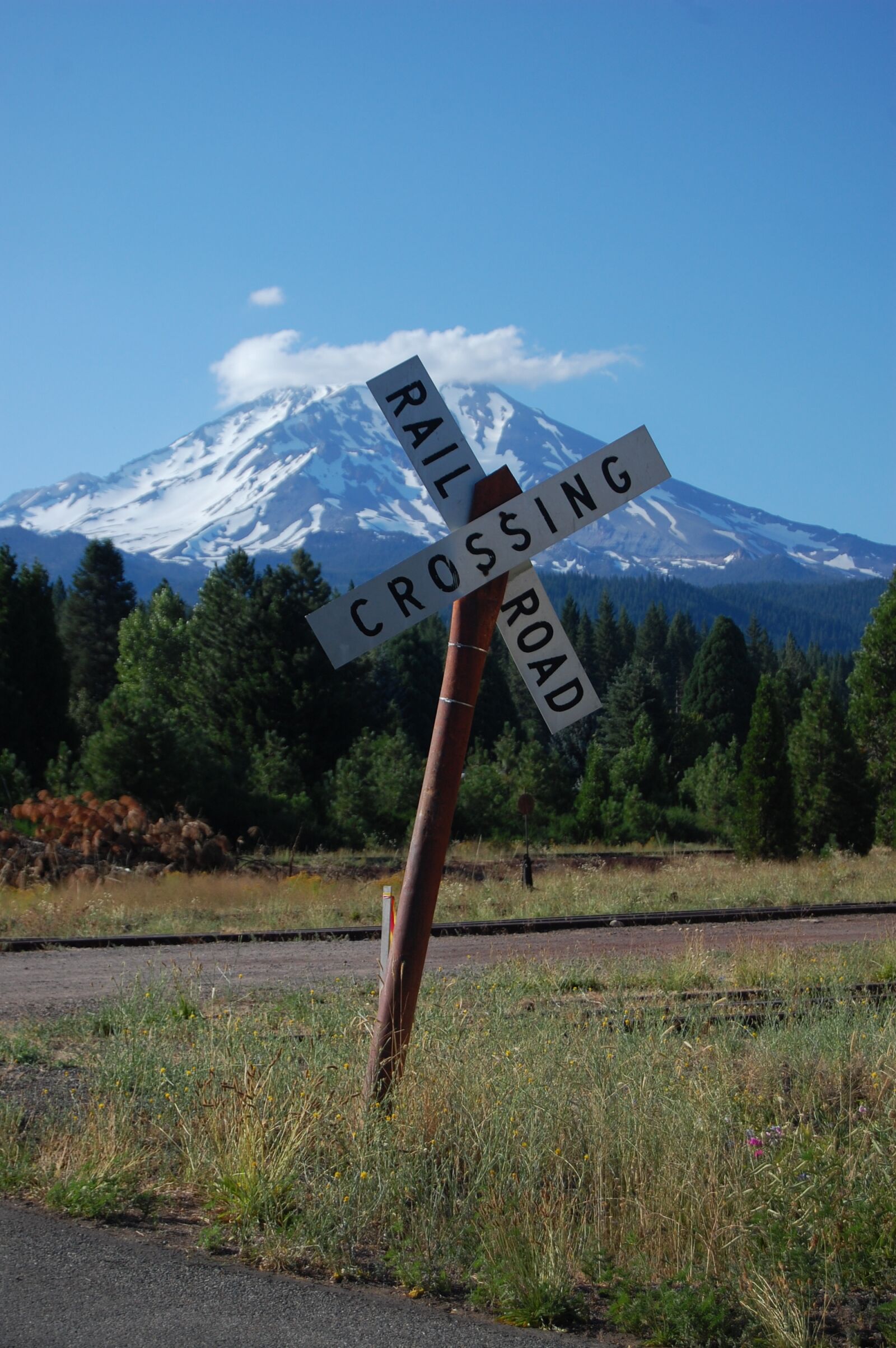 Nikon D40 sample photo. Poster, signal, signaling photography