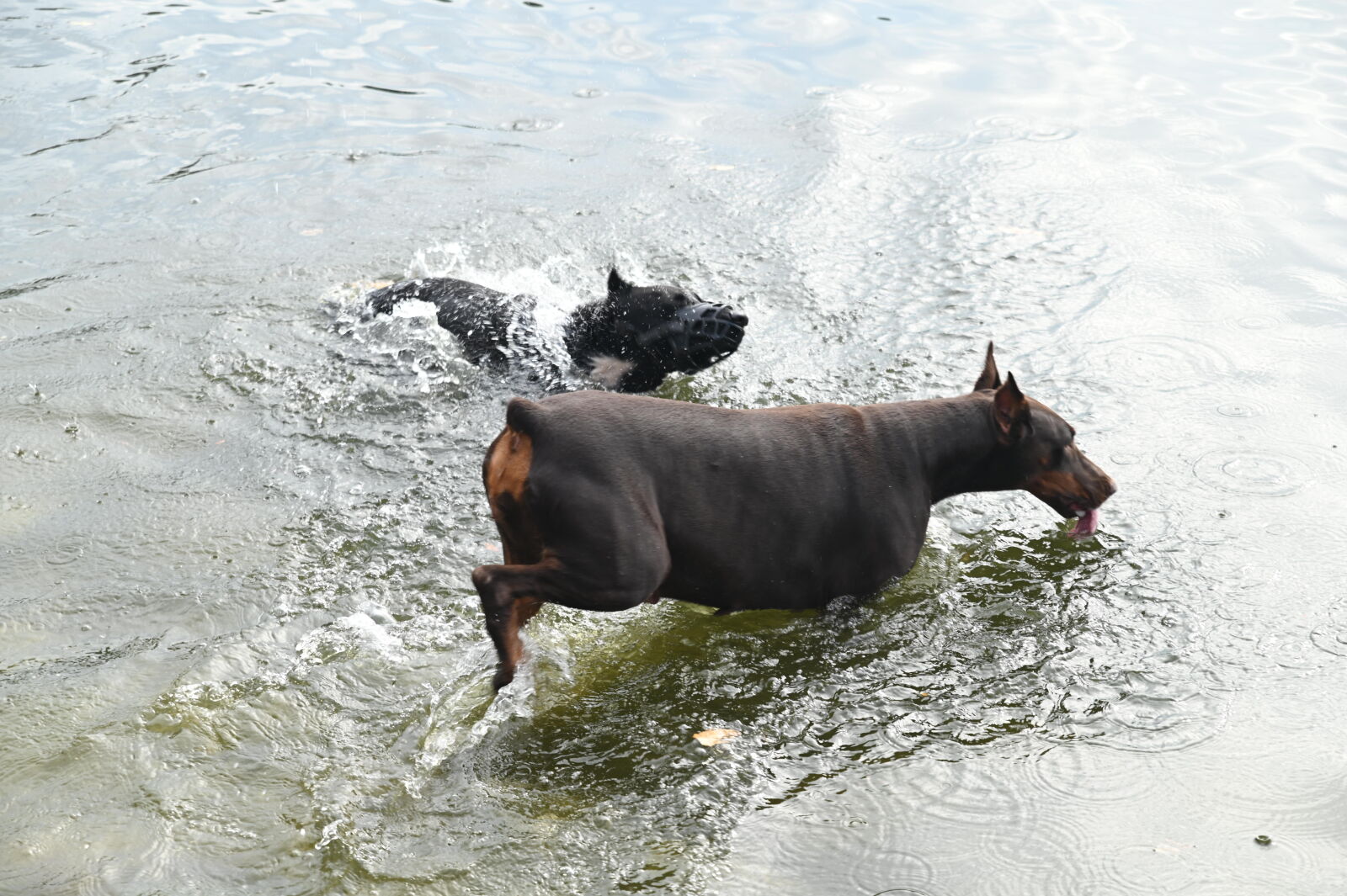 Nikon D780 sample photo
