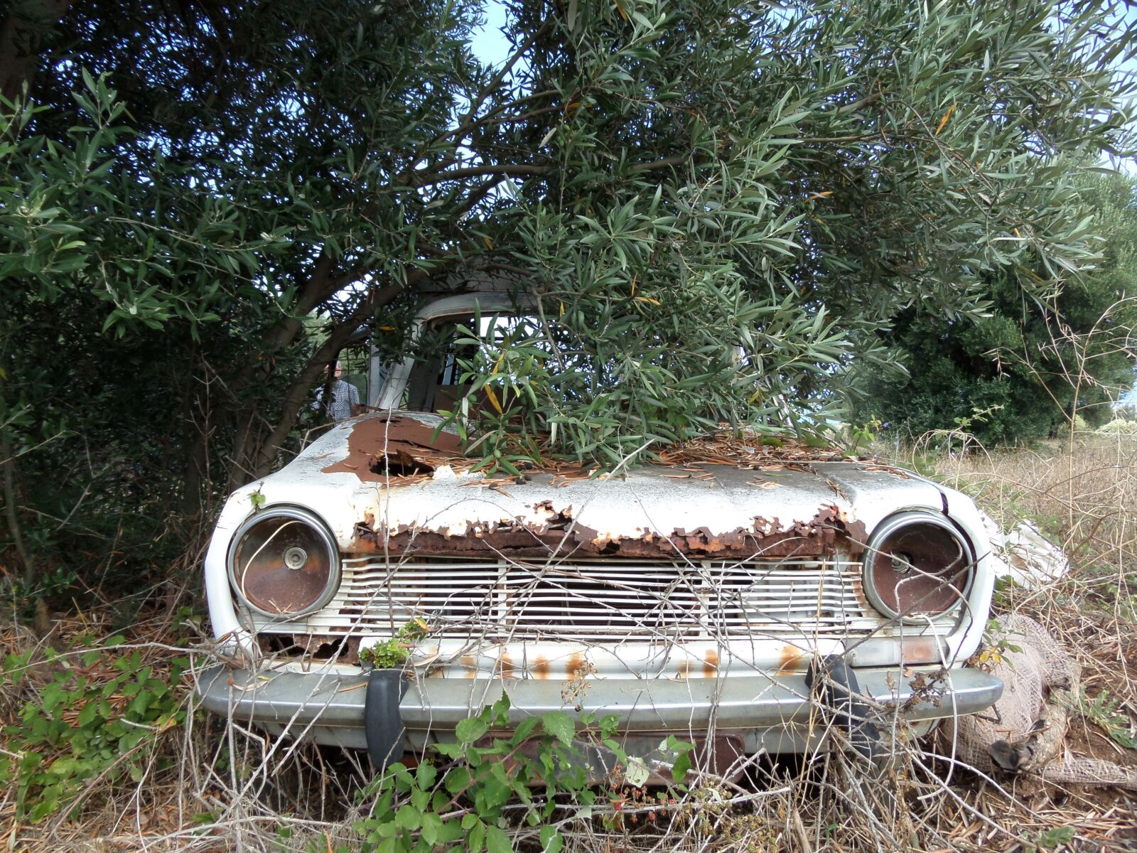 Samsung WB200F/WB201F/WB202F sample photo. Car, wreck, rust photography